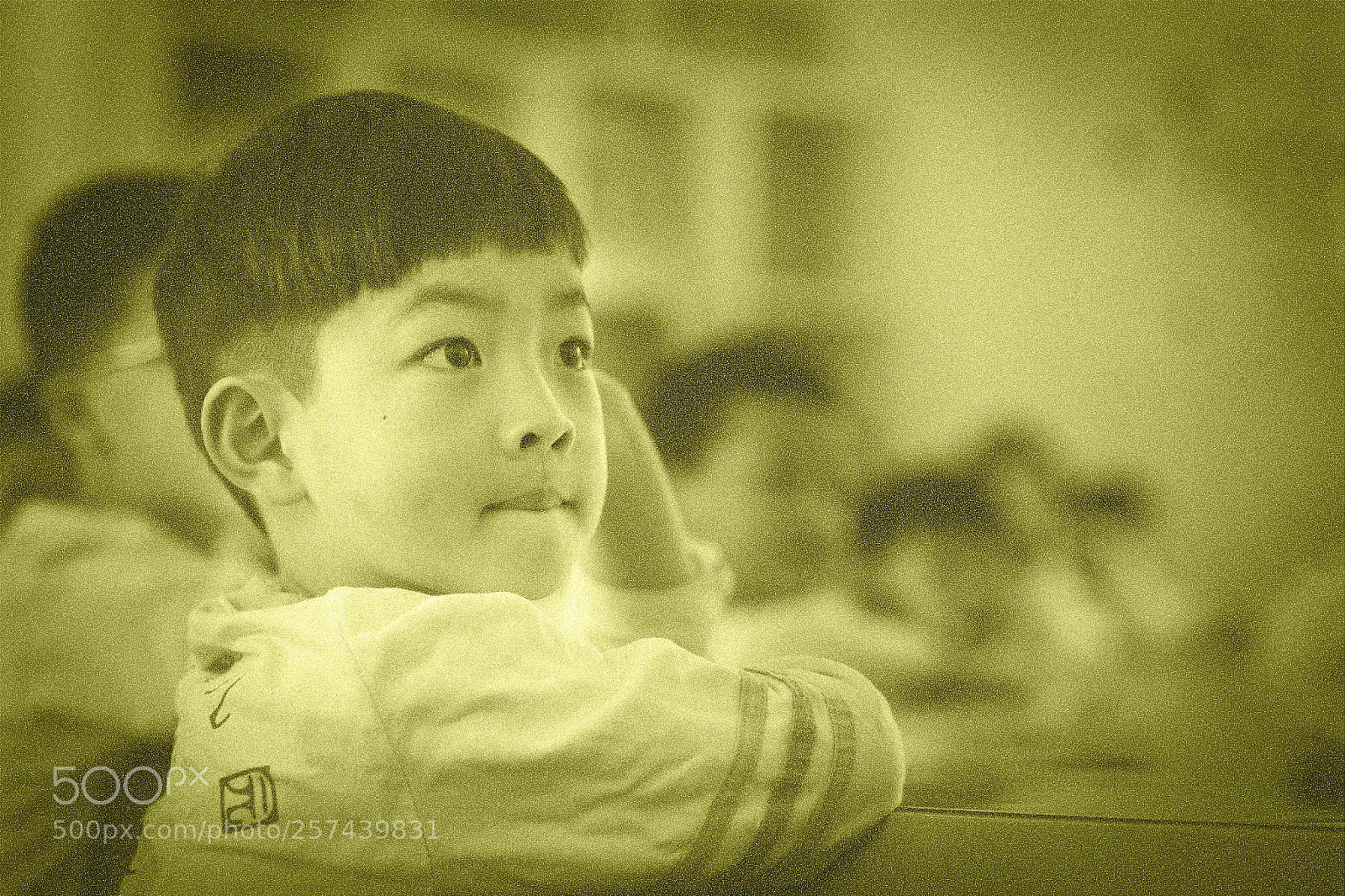 Canon EOS 6D sample photo. Untitled photography
