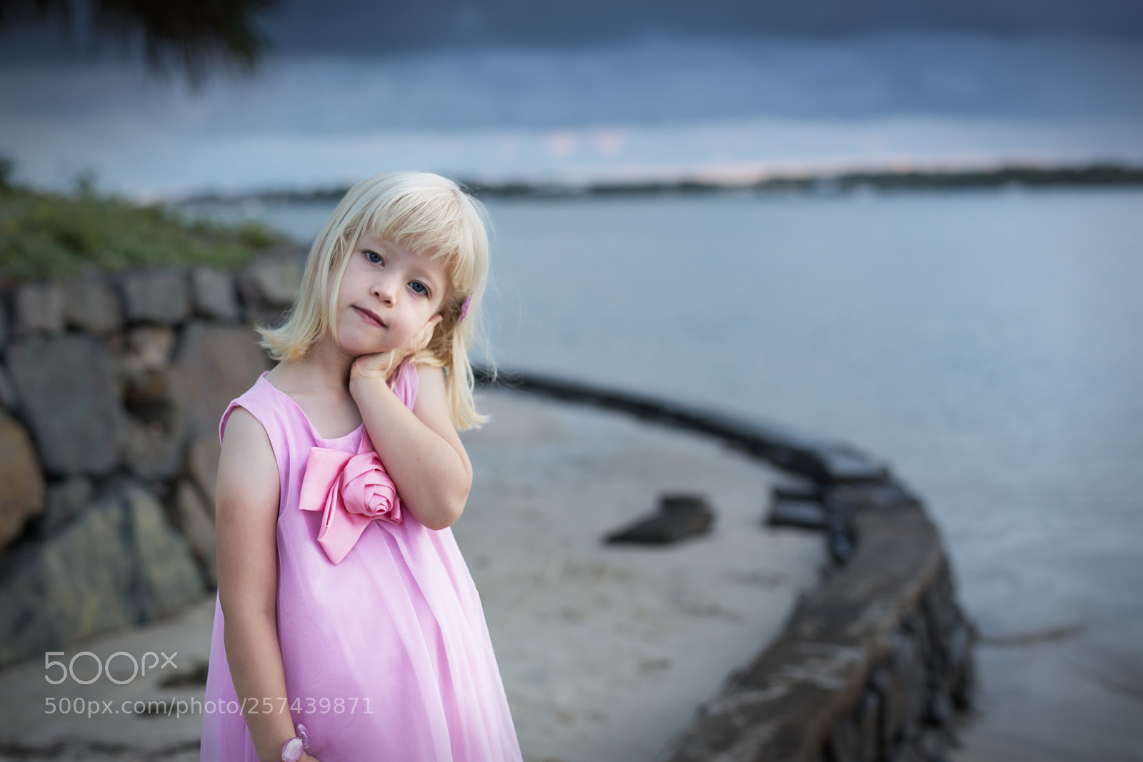Canon EOS 6D sample photo. Untitled photography