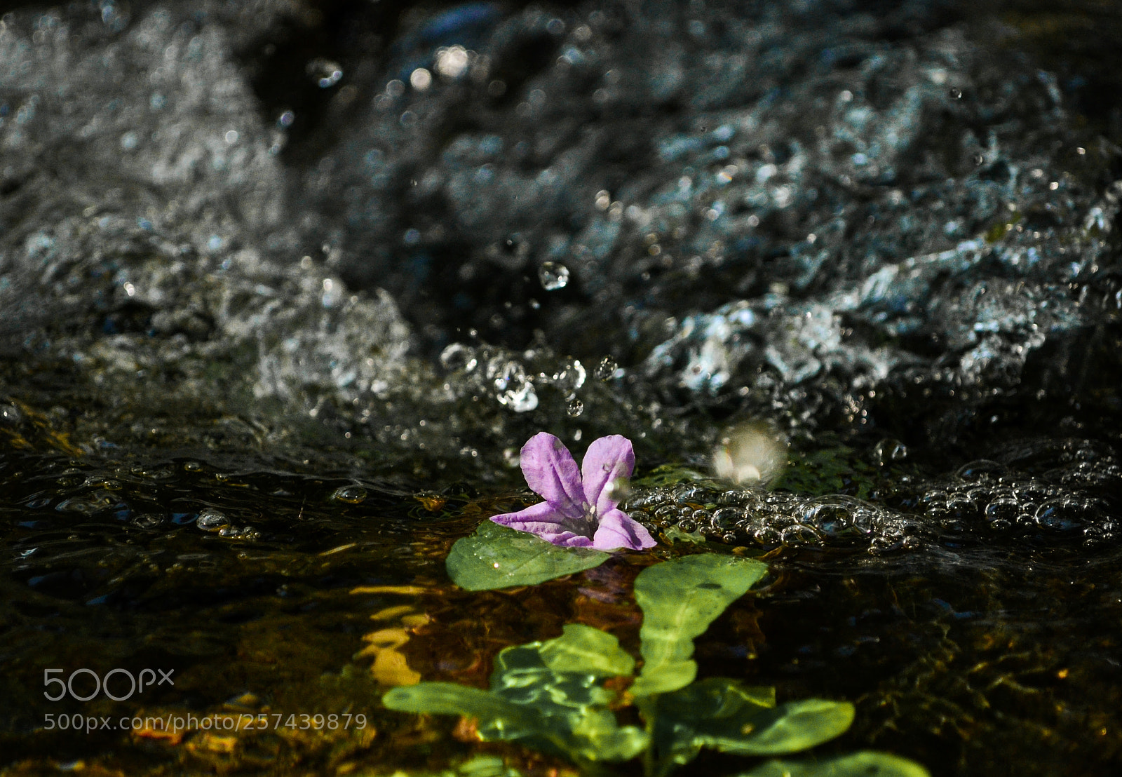 Nikon D3100 sample photo. Summer bath !!! photography