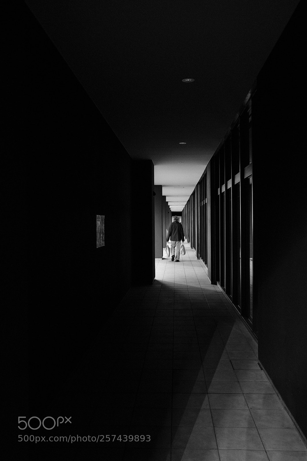 Fujifilm X-Pro2 sample photo. Untitled photography