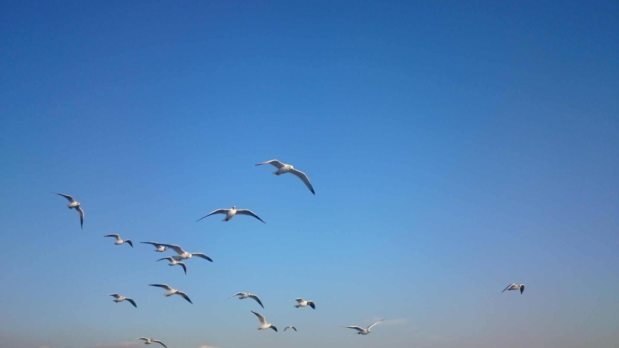 Sony Xperia Z2 sample photo. 17 photography