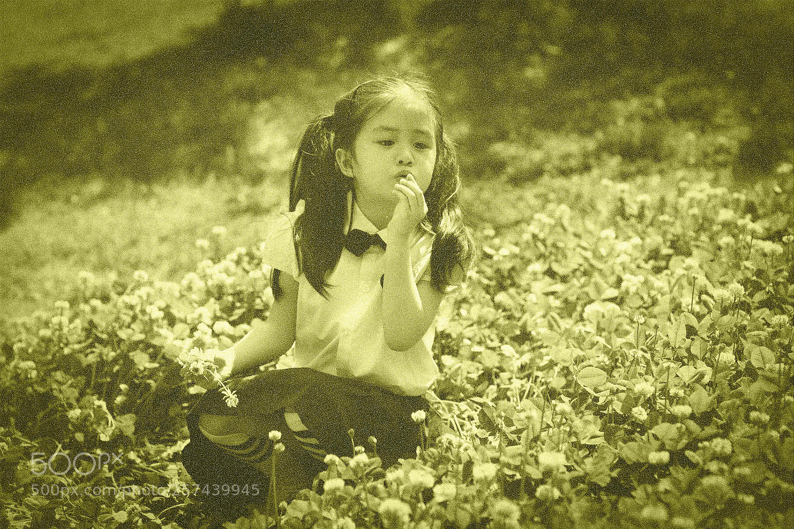 Canon EOS 6D sample photo. Untitled photography