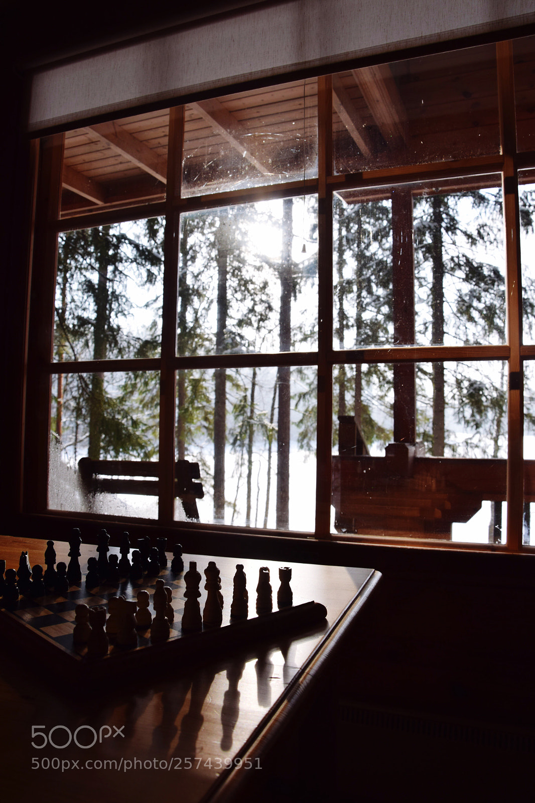 Nikon D5300 sample photo. Cozy photography