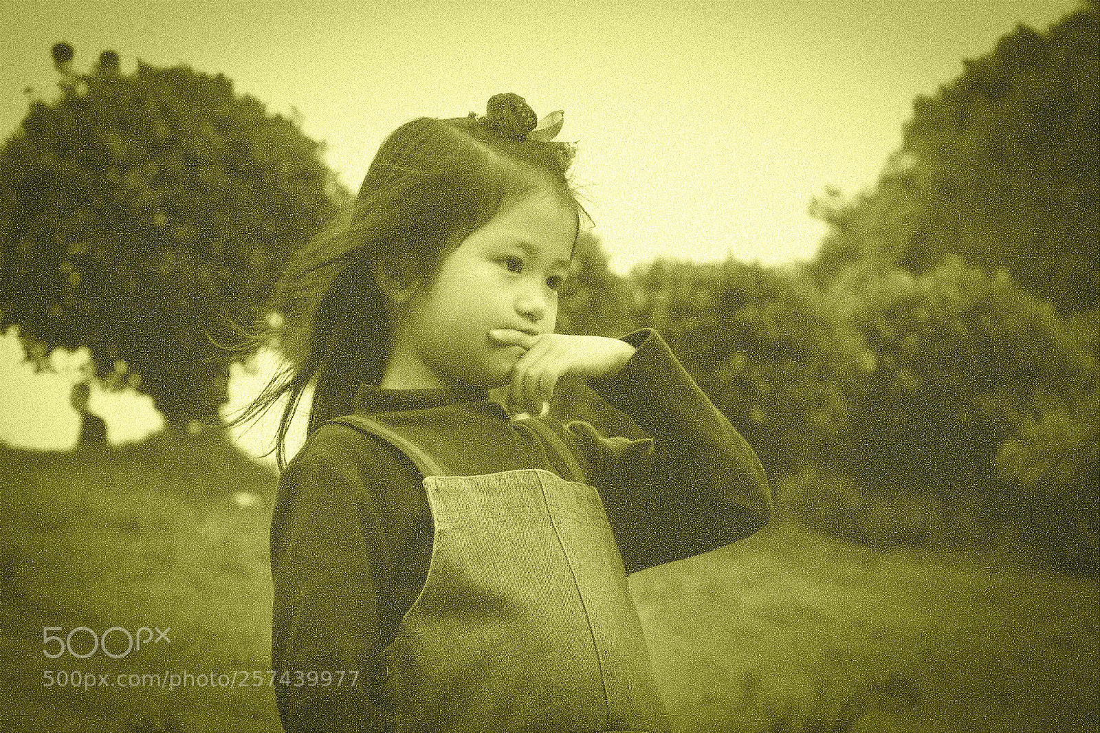 Canon EOS 6D sample photo. Untitled photography
