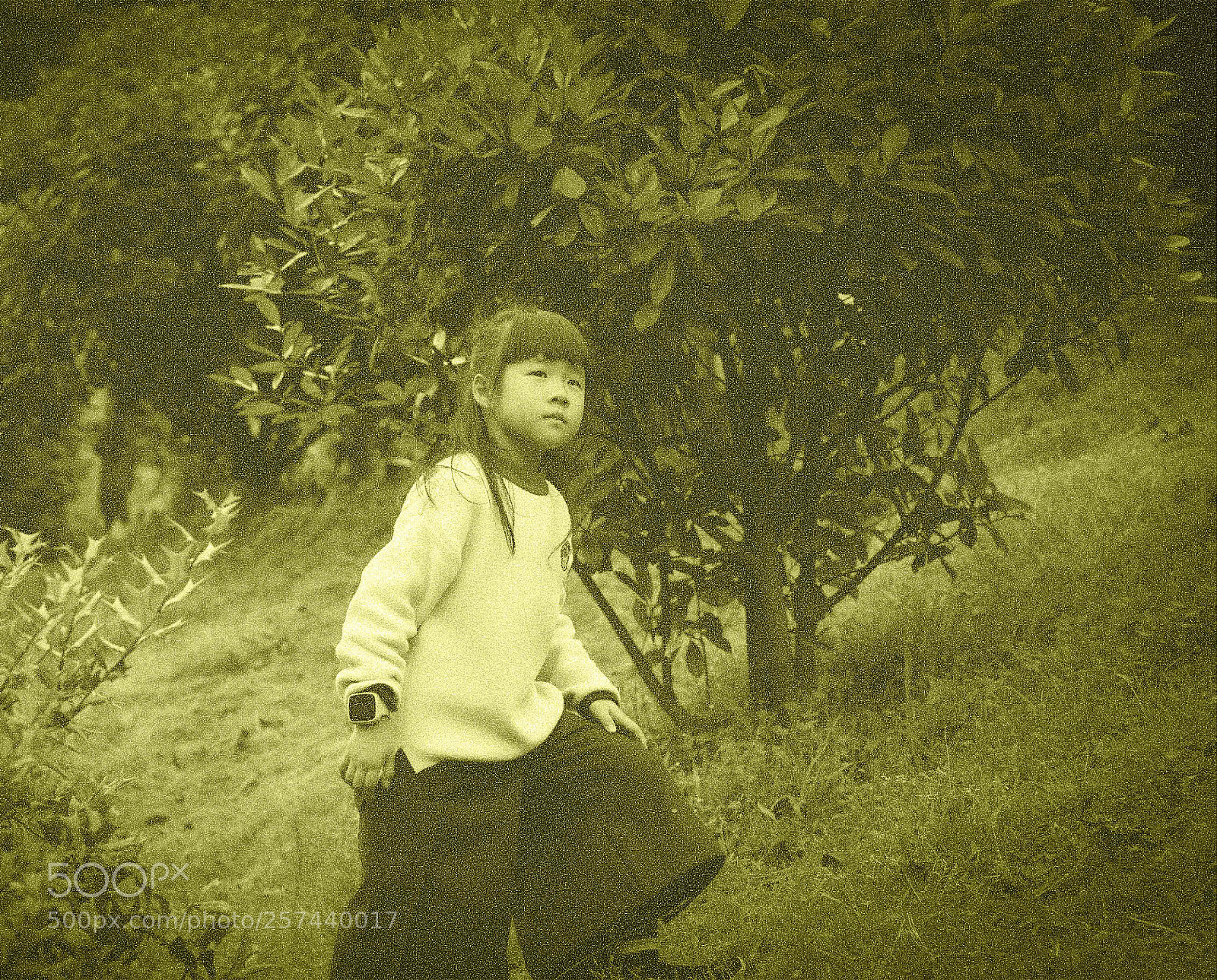 Canon EOS 6D sample photo. Untitled photography