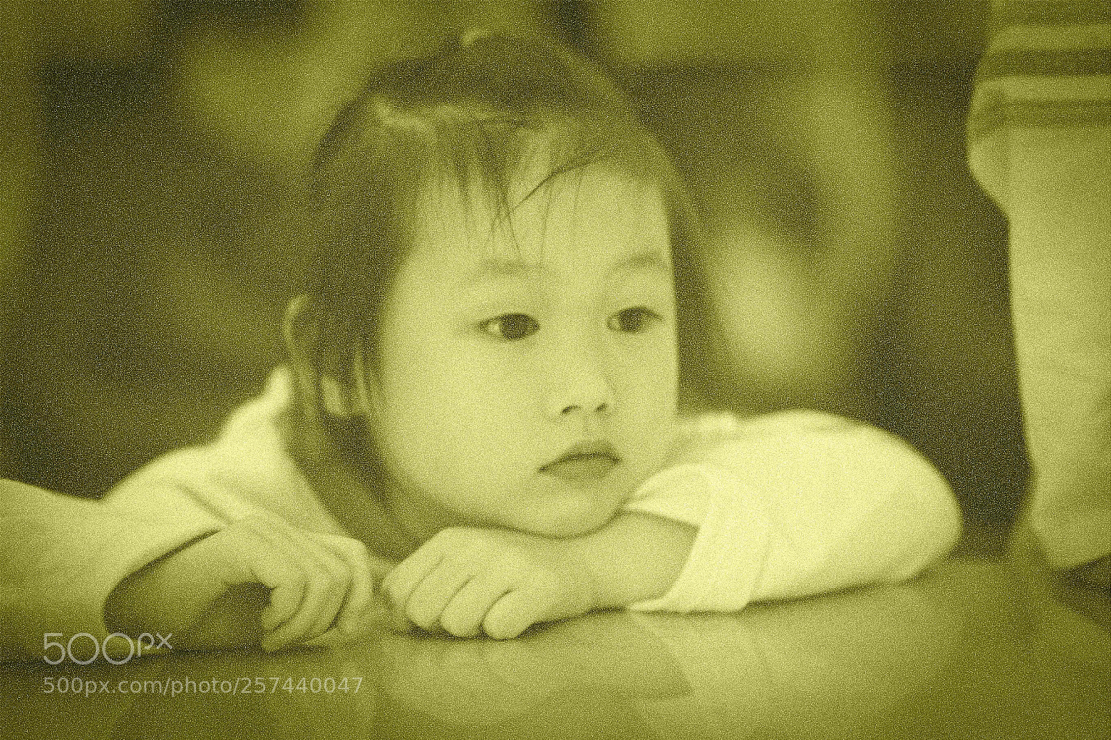 Canon EOS 6D sample photo. Untitled photography