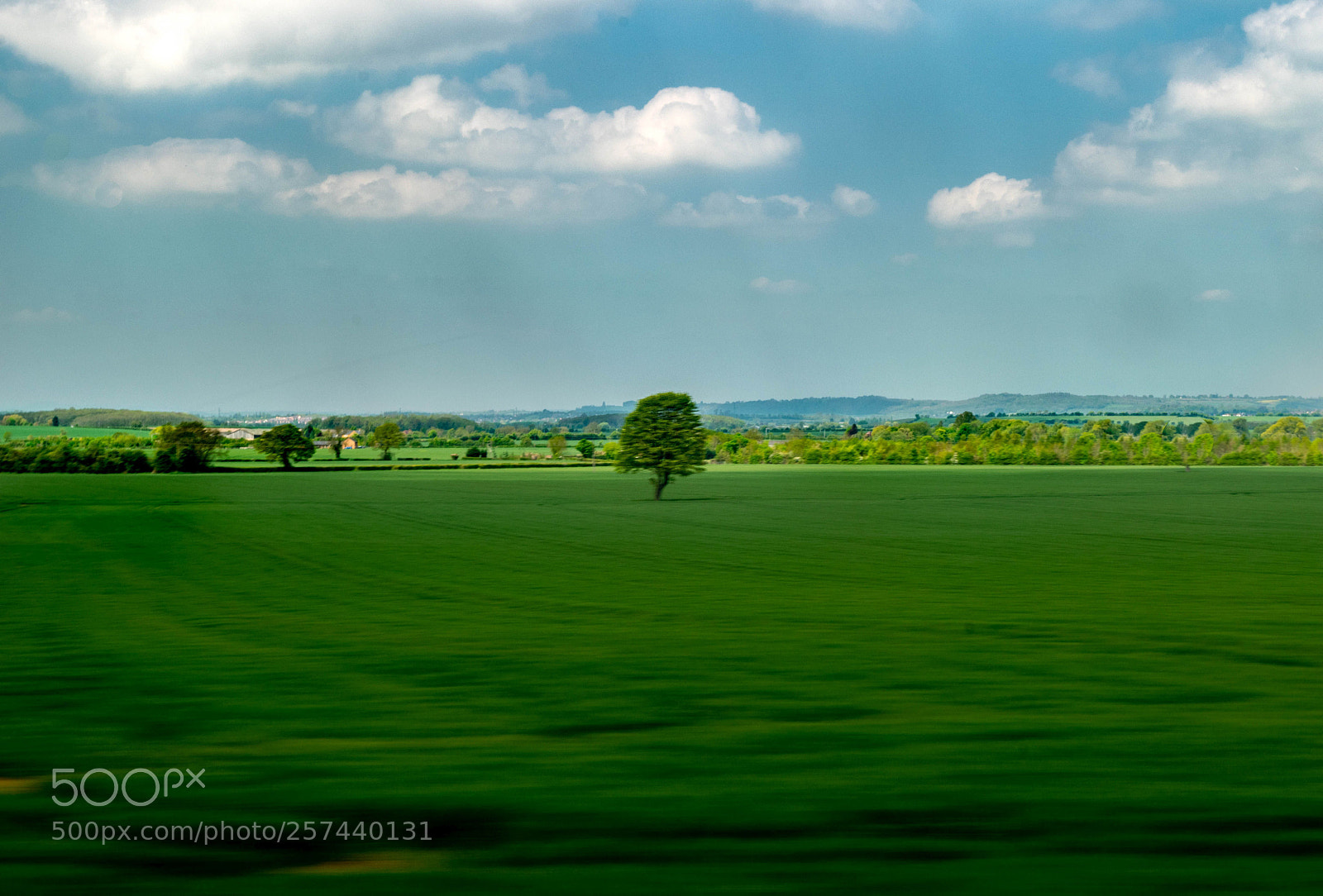 Nikon D3300 sample photo. Among wages of green photography