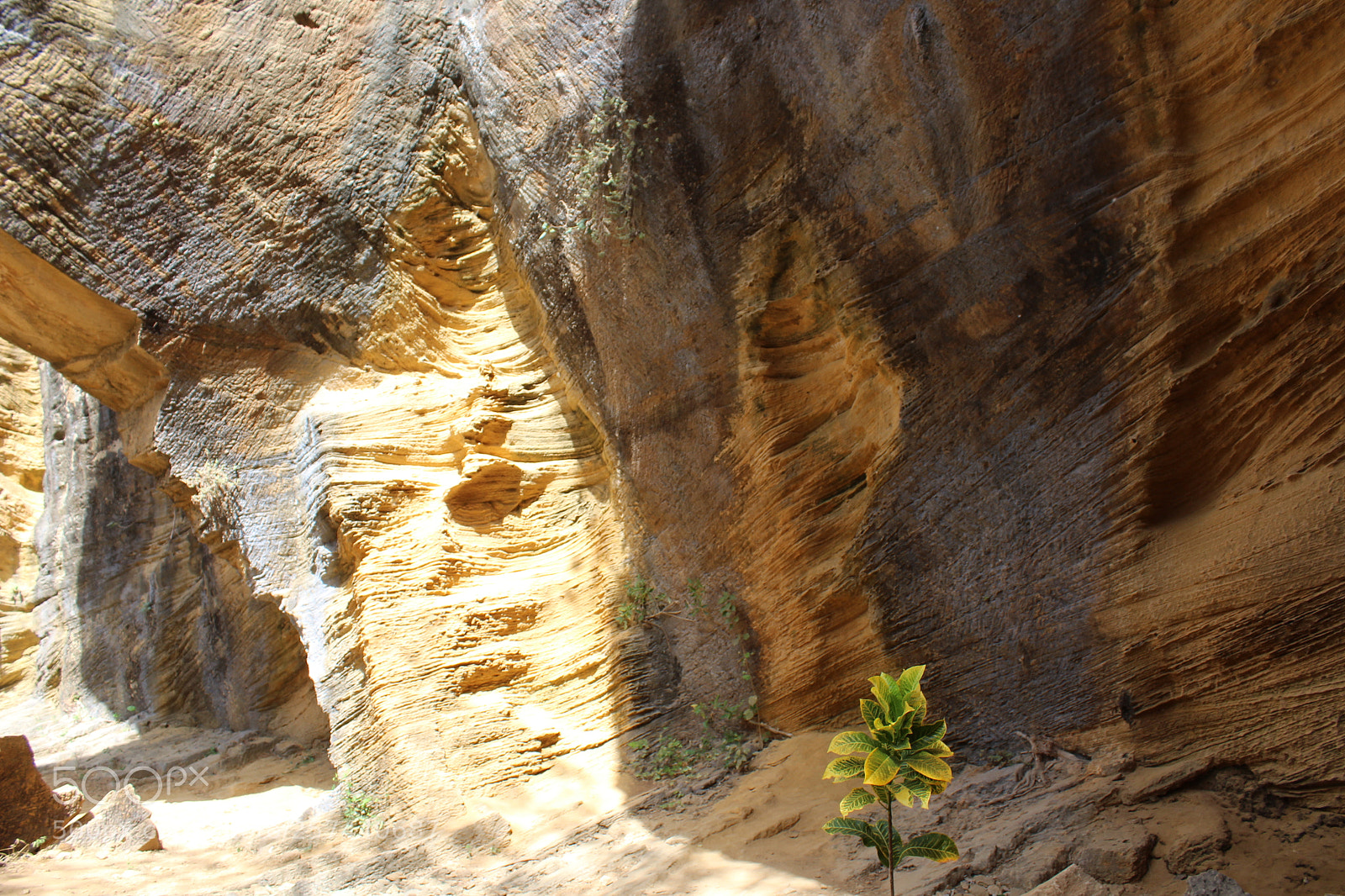 Canon EOS 1300D (EOS Rebel T6 / EOS Kiss X80) sample photo. Cave photography