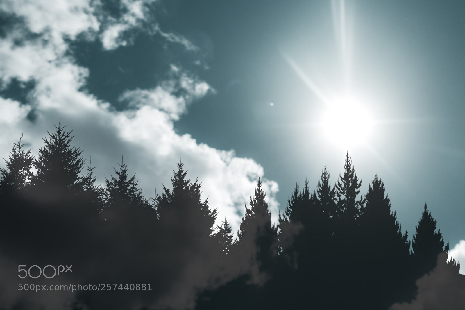 Canon EOS 7D sample photo. Head in the clouds photography