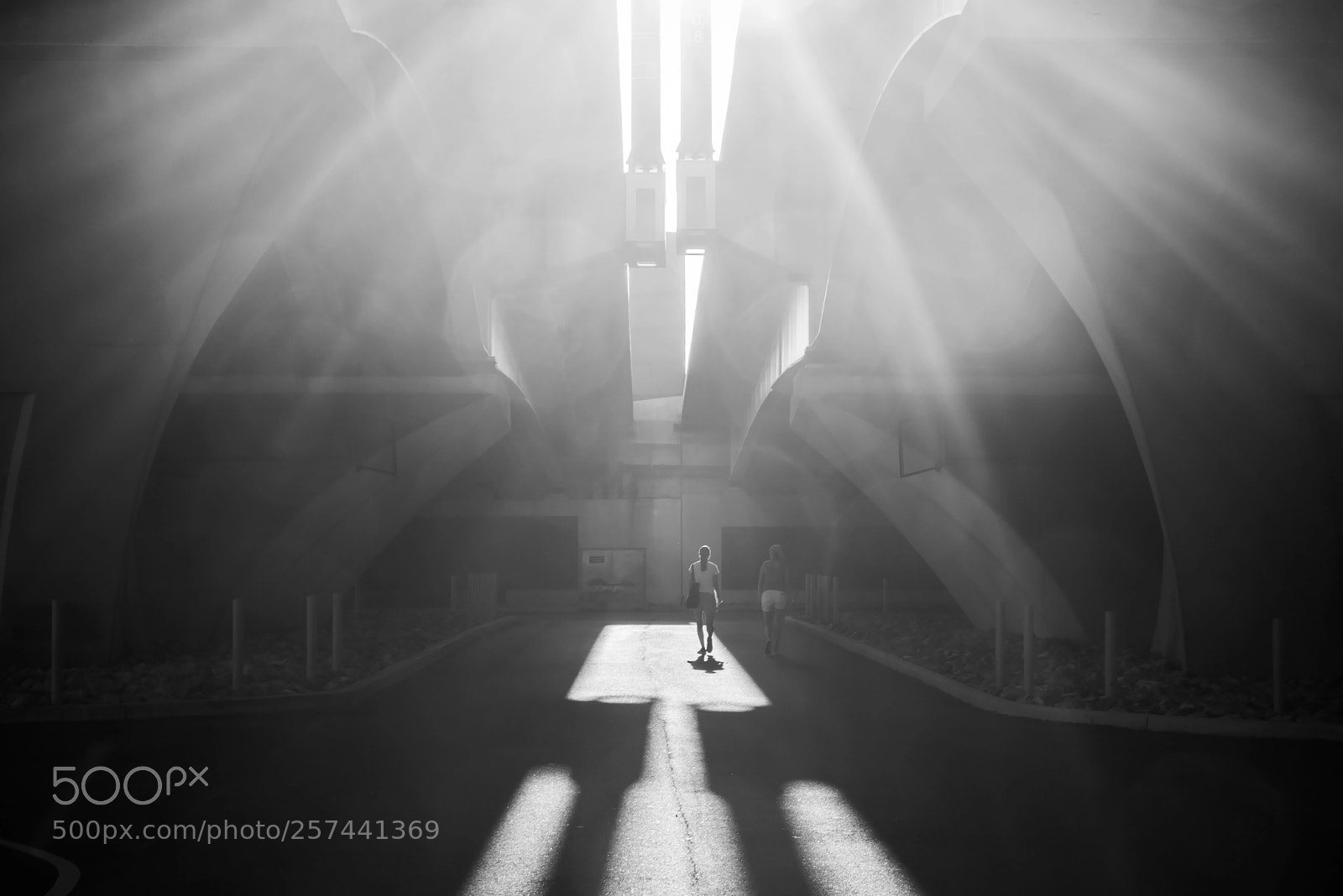Nikon D810 sample photo. Blinded by the light photography