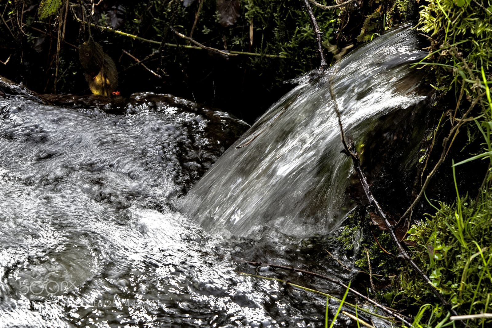 Nikon D750 sample photo. Creek35 photography