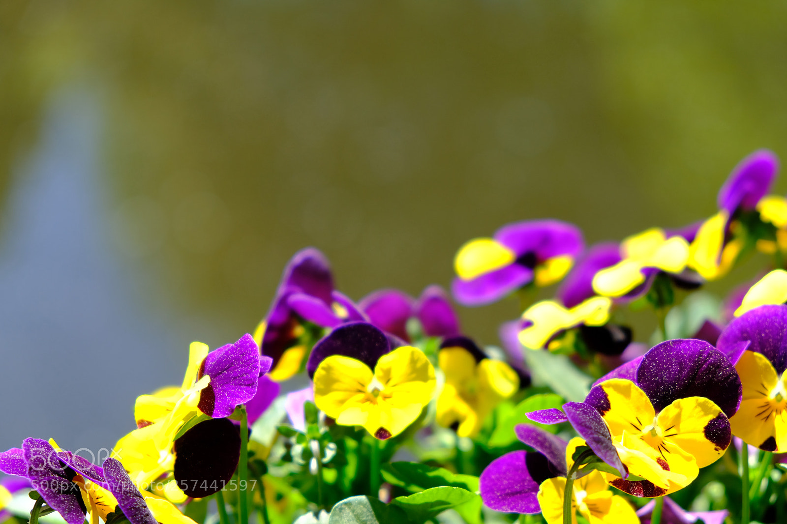 Fujifilm X-T20 sample photo. First fuji x-t20 shots photography