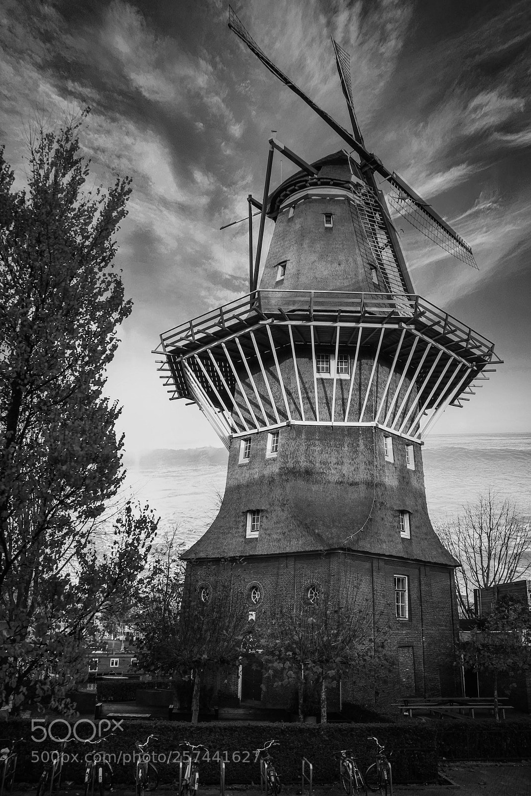 Canon EOS 550D (EOS Rebel T2i / EOS Kiss X4) sample photo. Netherlands windmill b&w photography