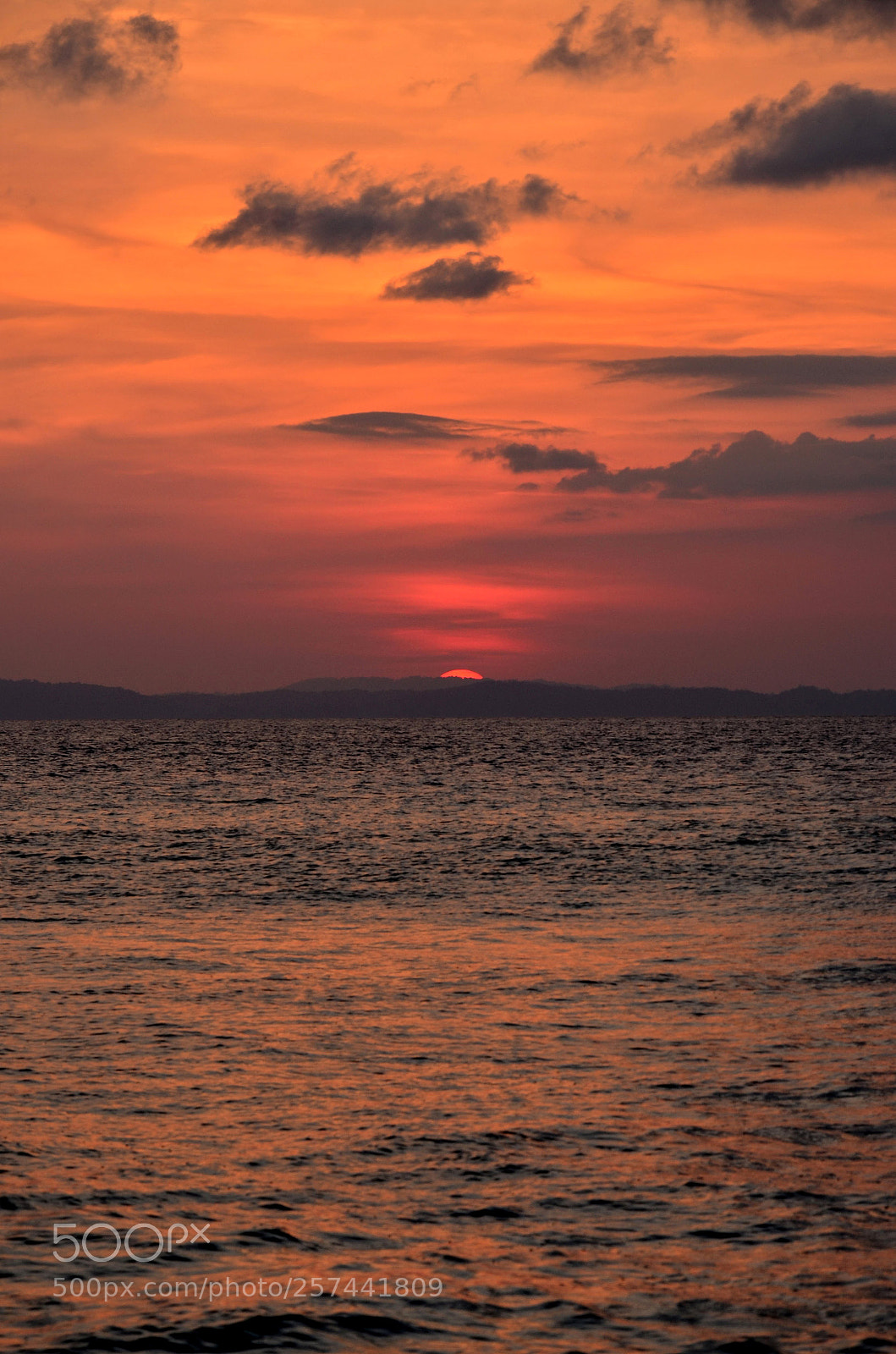 Nikon D7000 sample photo. Adieu... photography