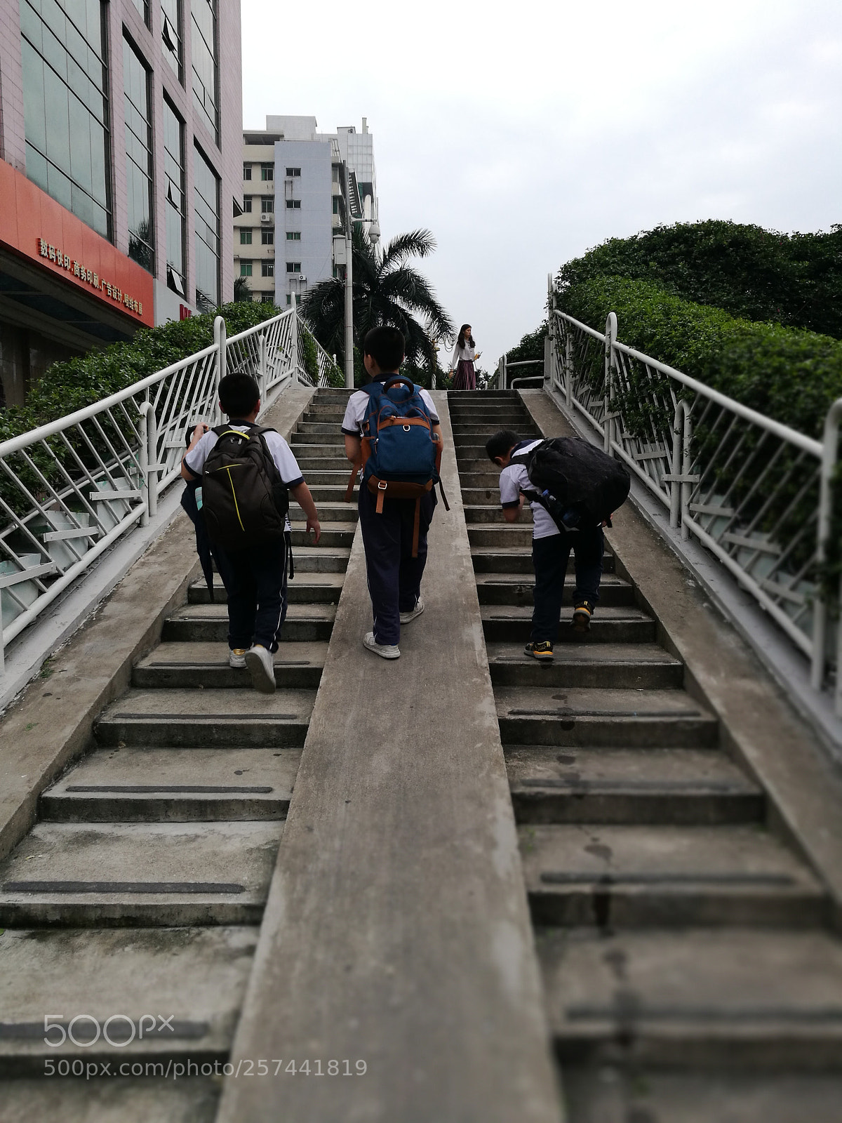 HUAWEI P9 sample photo. On the way from photography