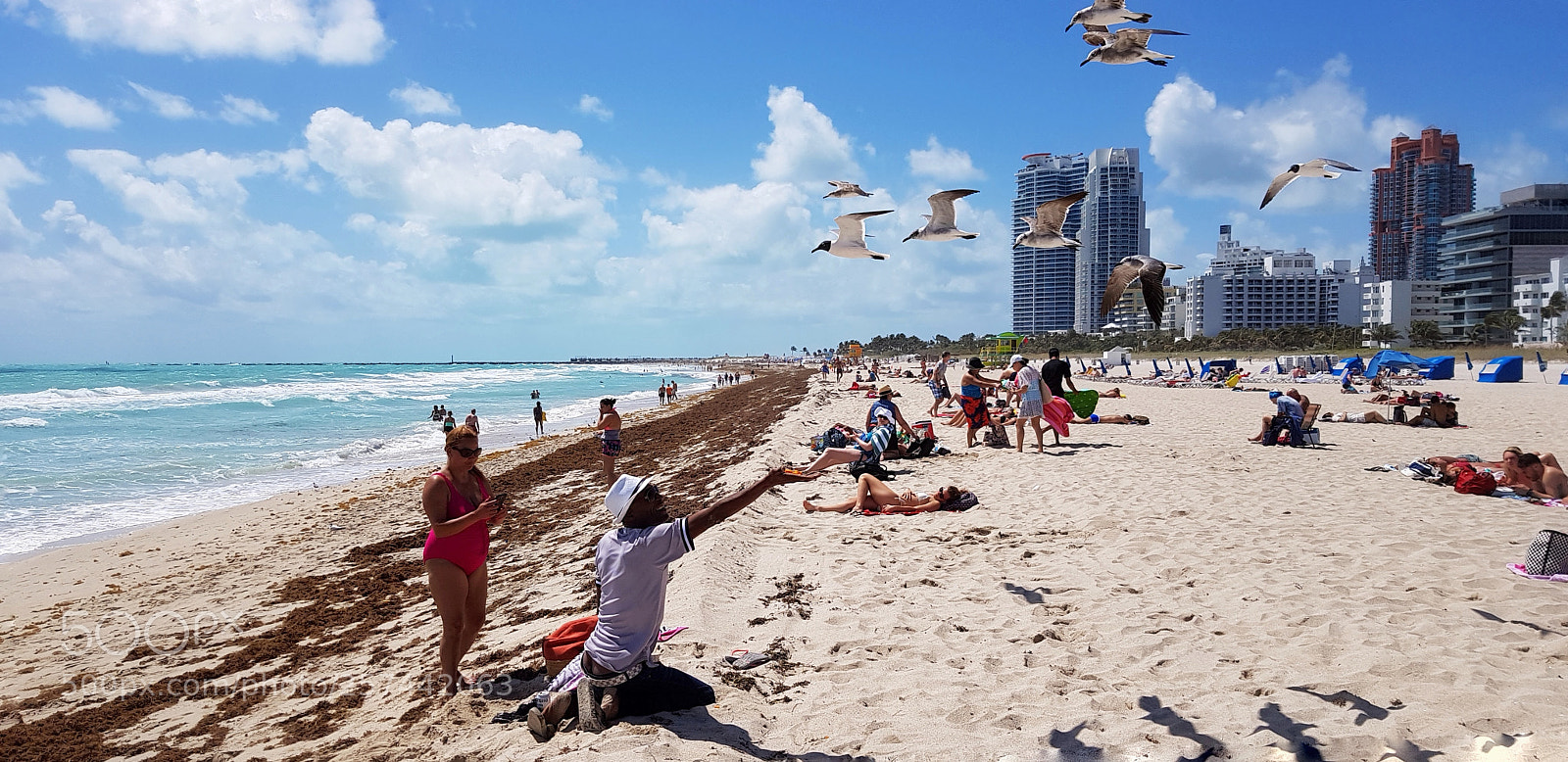 Samsung Galaxy S8+ sample photo. Miami photography