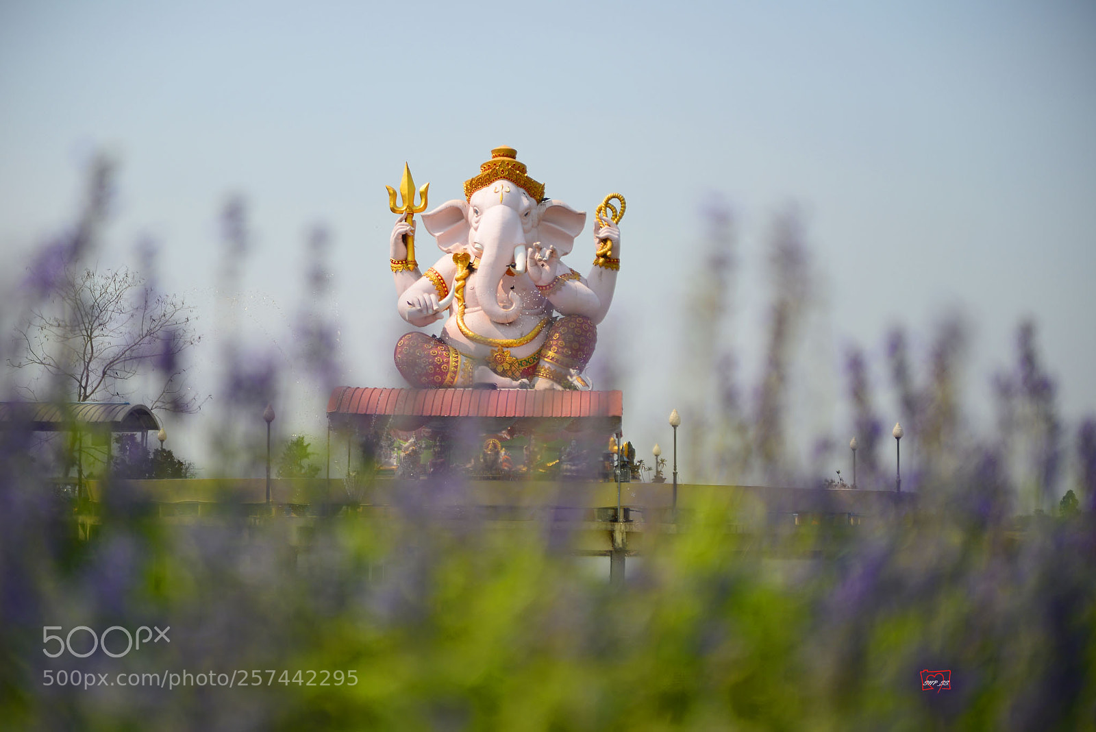 Nikon D610 sample photo. Lord of success. photography