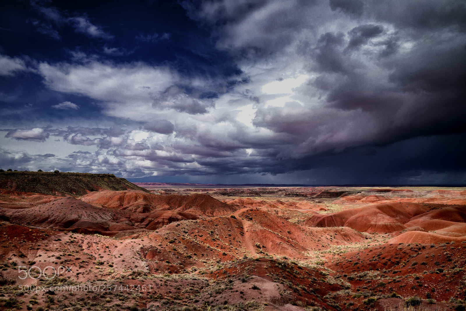 Leica M (Typ 240) sample photo. Painted desert photography