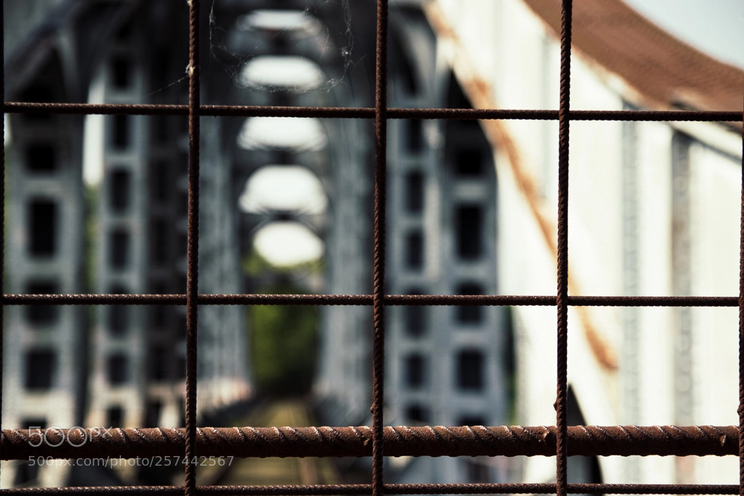 Canon EOS 77D (EOS 9000D / EOS 770D) sample photo. Lost trainrail photography