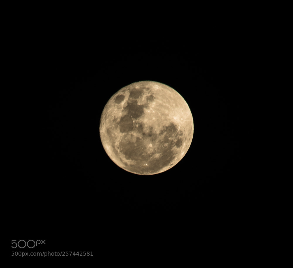 Nikon D5200 sample photo. The moon photography