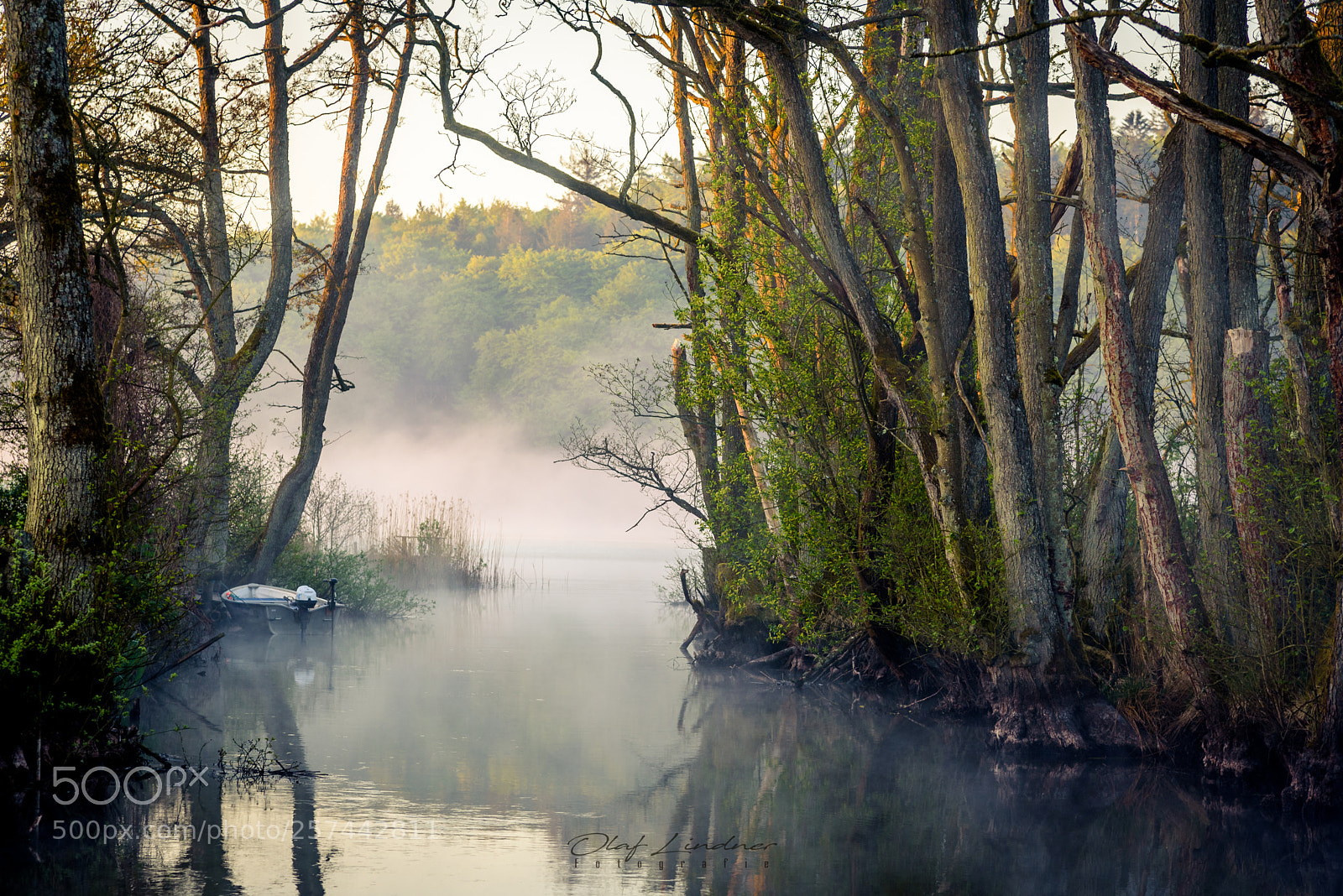Nikon D750 sample photo. Fog over the lake photography