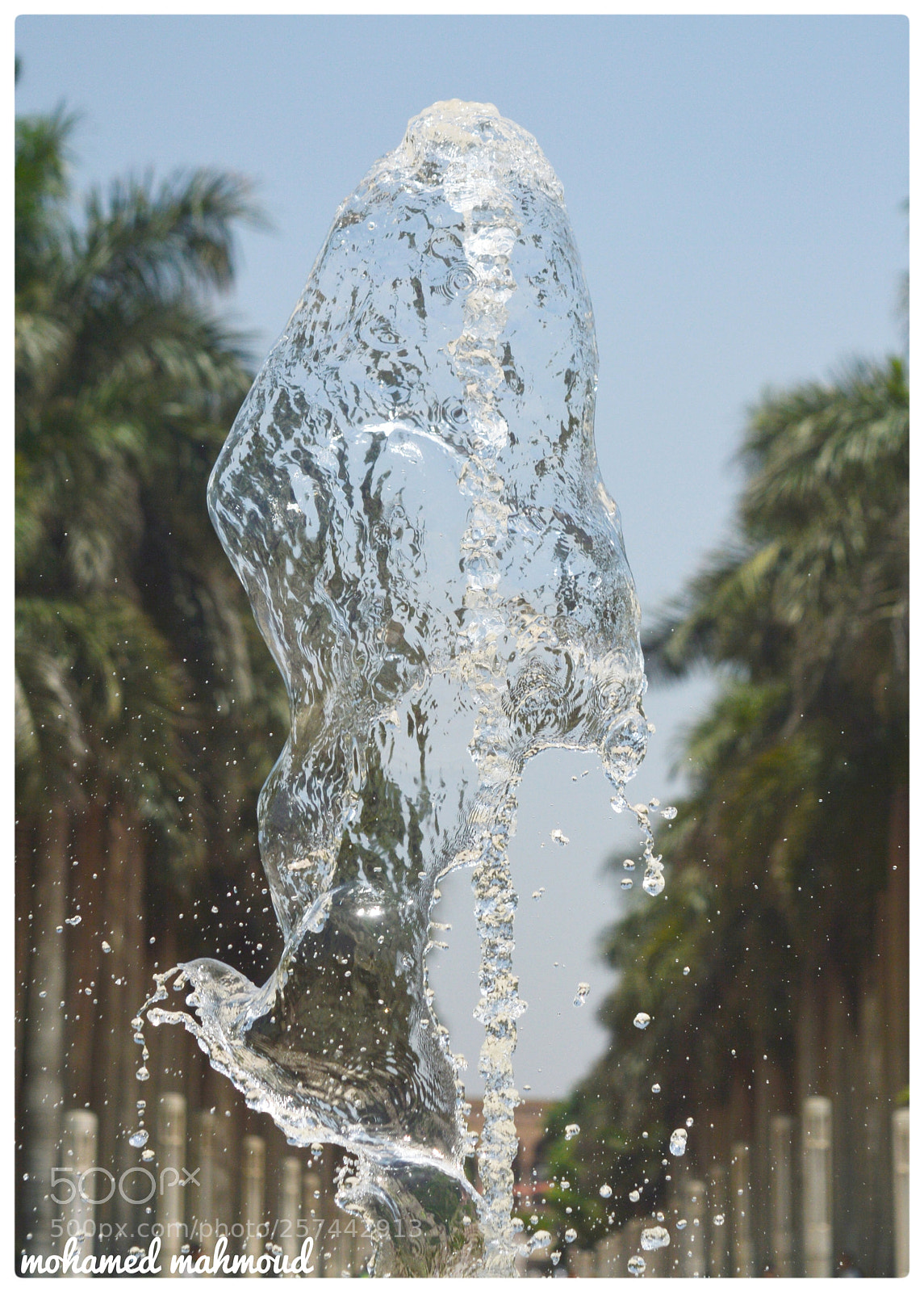 Nikon D3200 sample photo. Untitled photography