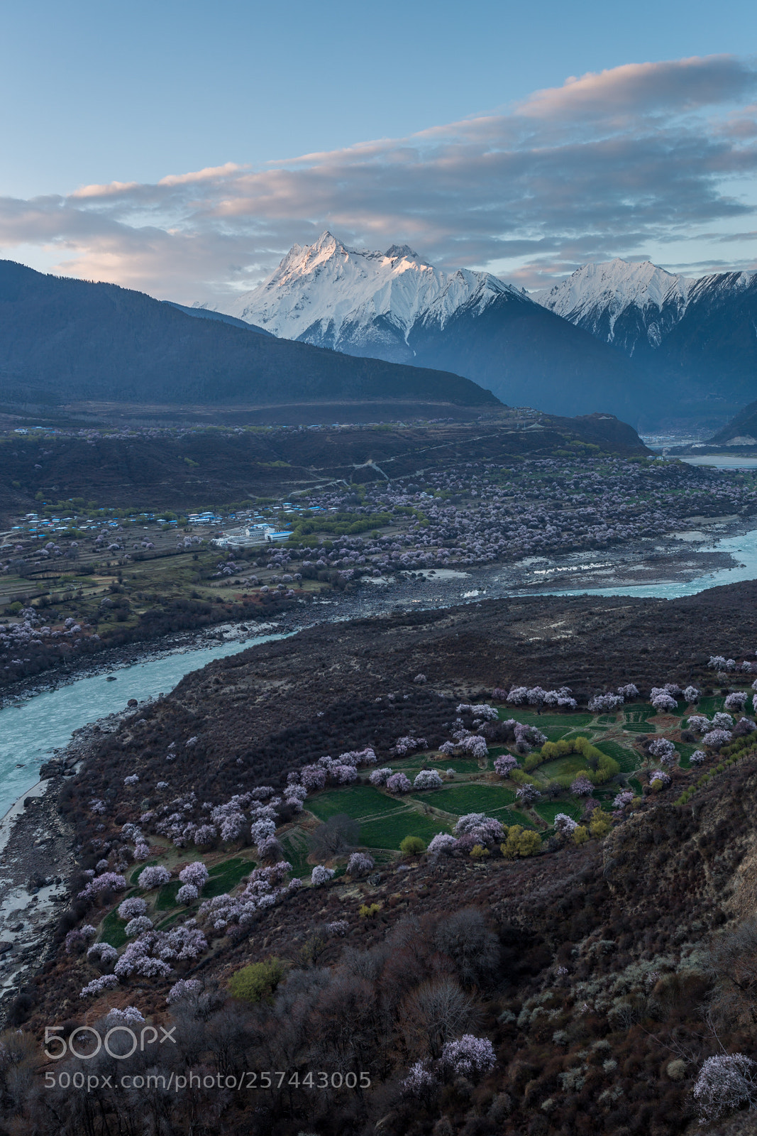 Canon EOS 6D sample photo. Valley with peach blossom photography