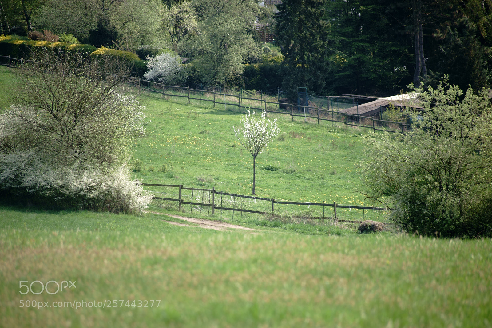Sony a7 II sample photo. Hilly landscape with meadow photography
