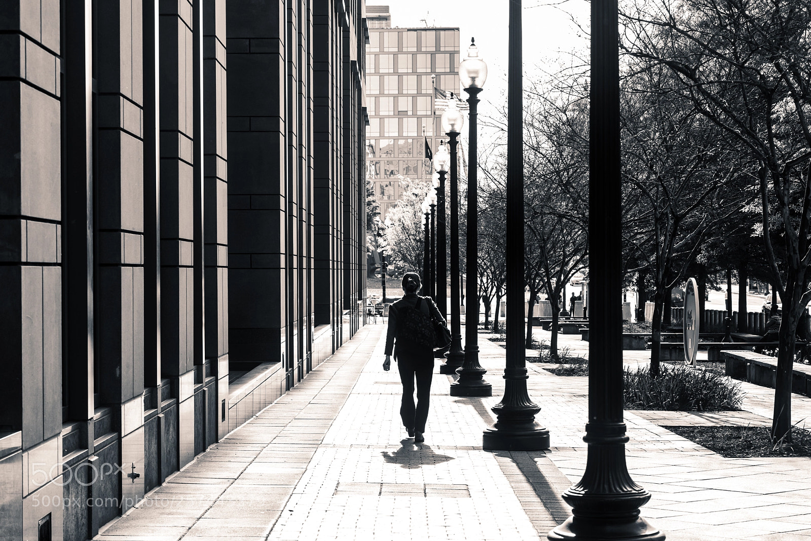Nikon D810 sample photo. The long walk photography