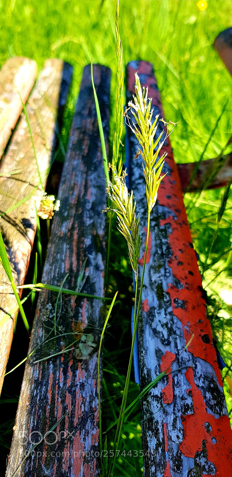 Samsung Galaxy S8 sample photo. Le banc photography