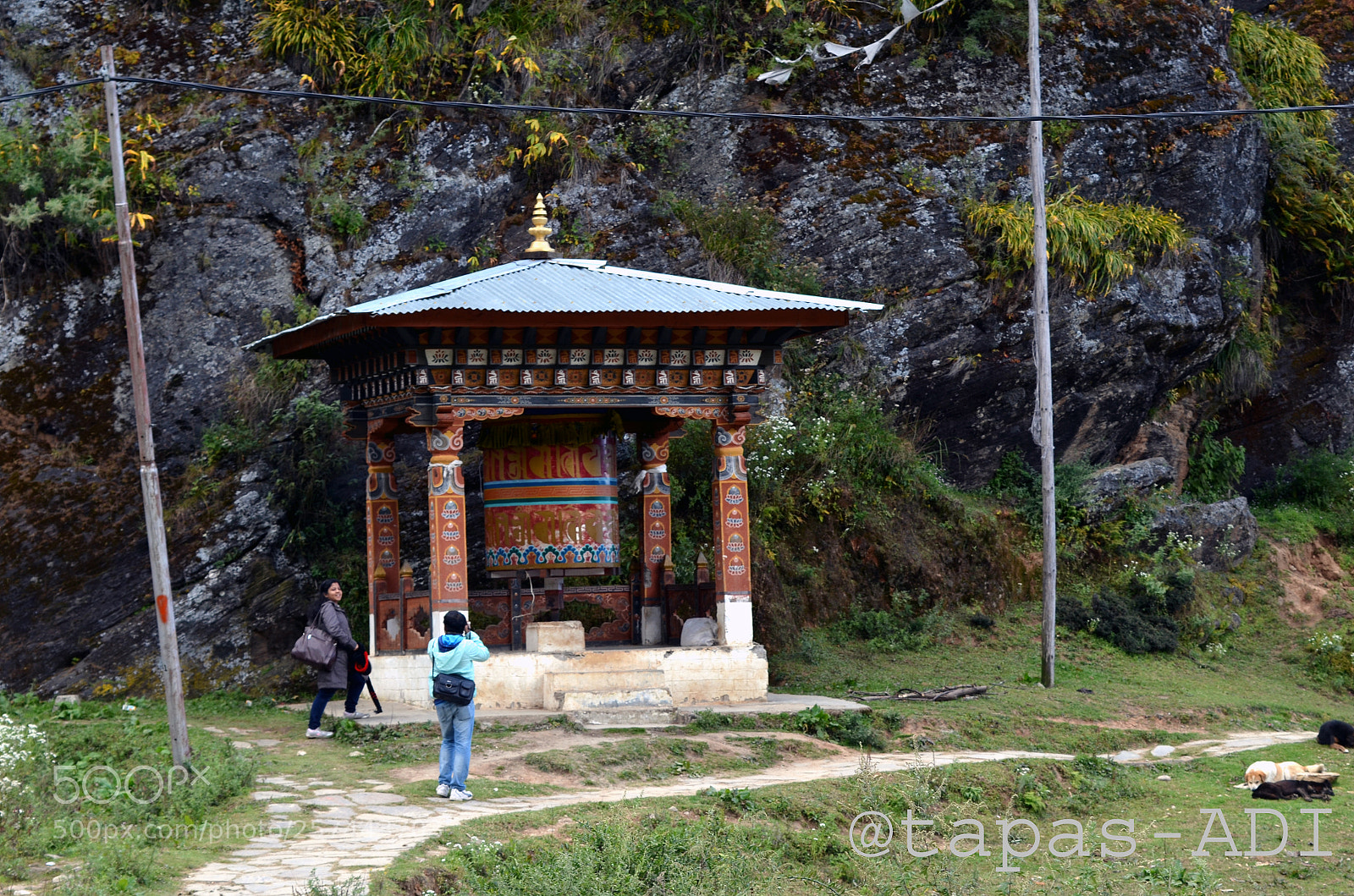 Nikon D5100 sample photo. 38.jpg photography