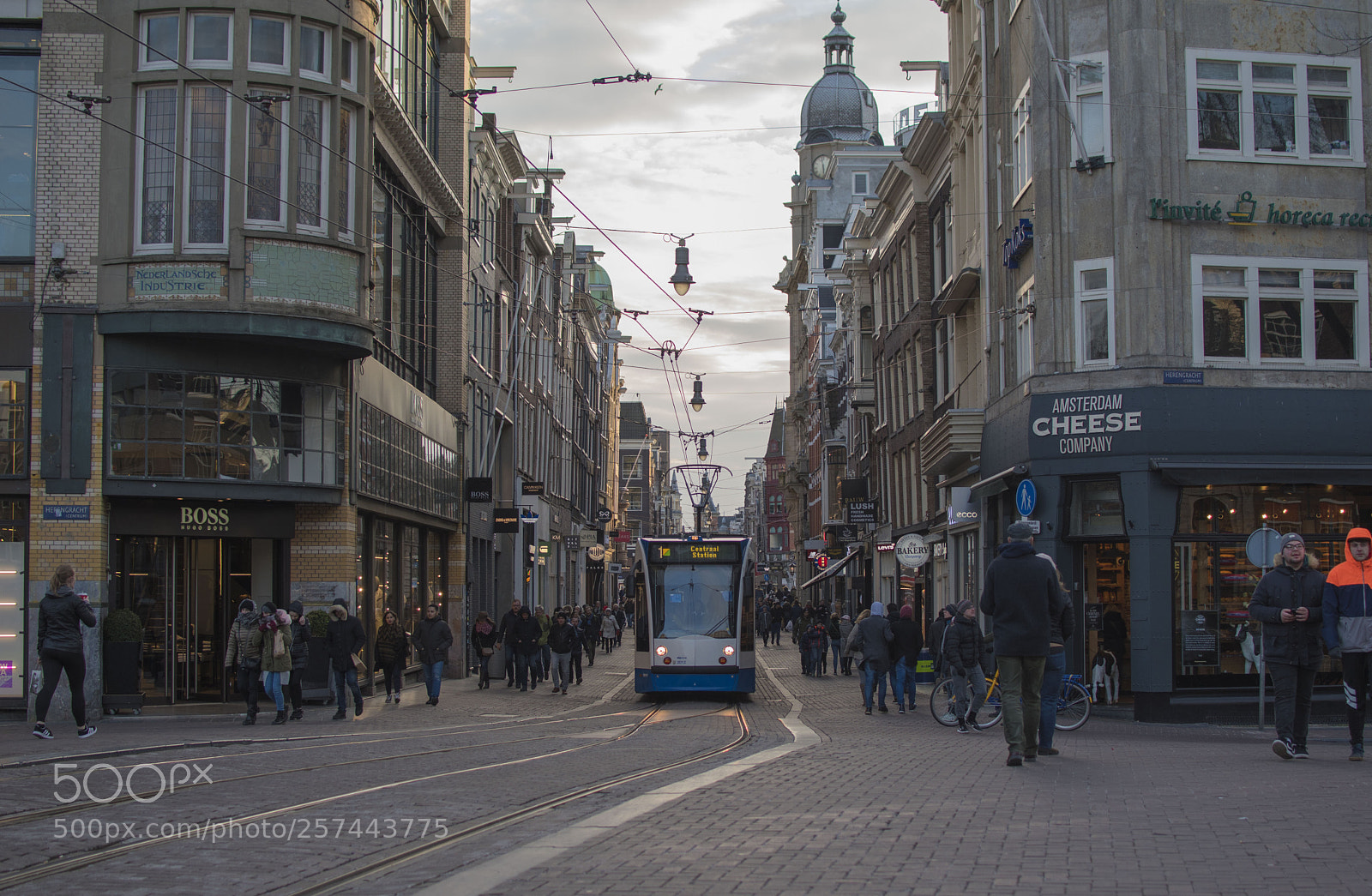 Nikon D5500 sample photo. Amsterdam photography