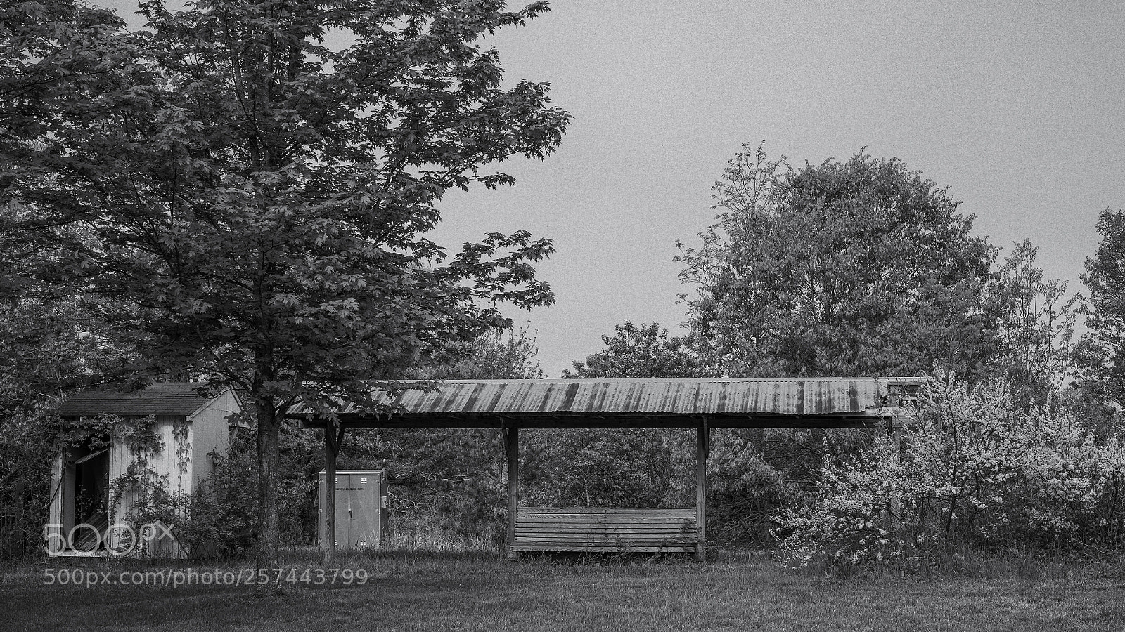 Fujifilm X-Pro1 sample photo. Untitled photography
