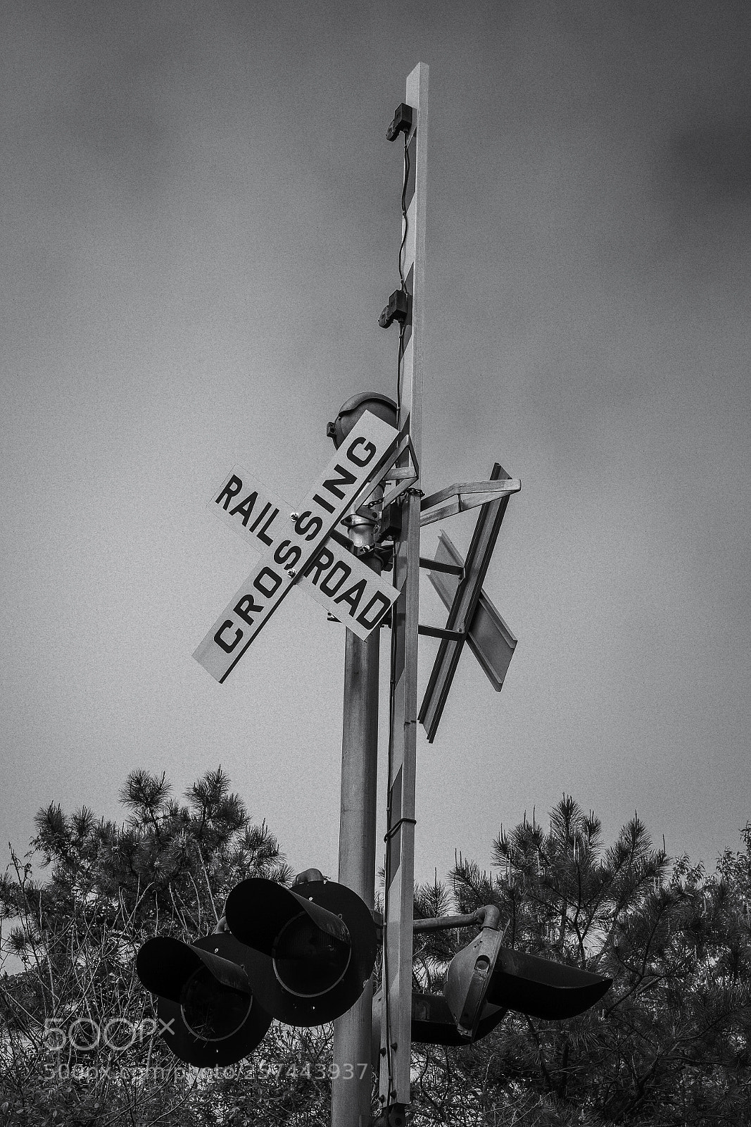 Fujifilm X-Pro1 sample photo. Untitled photography