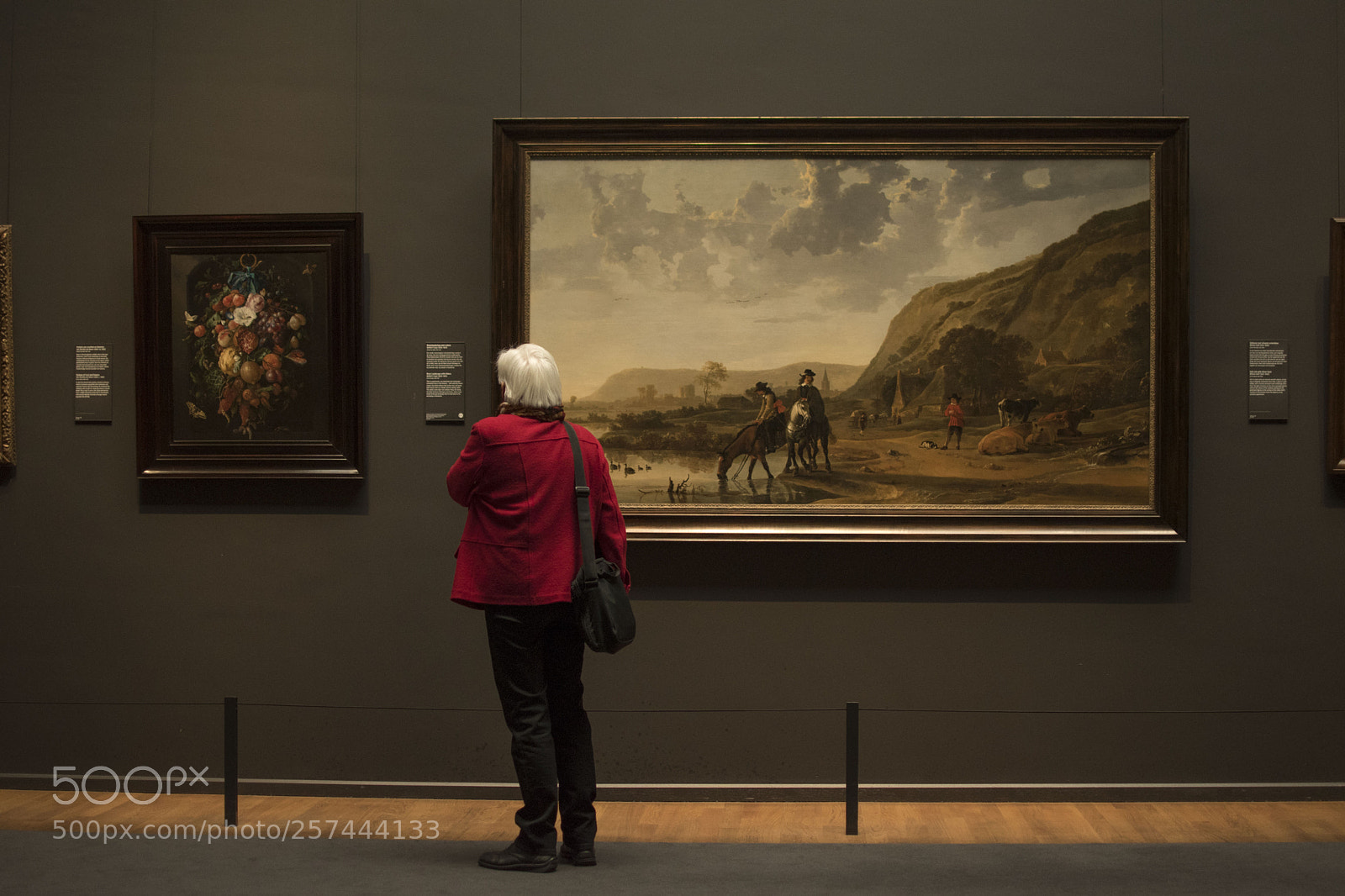 Nikon D5500 sample photo. Observing art photography