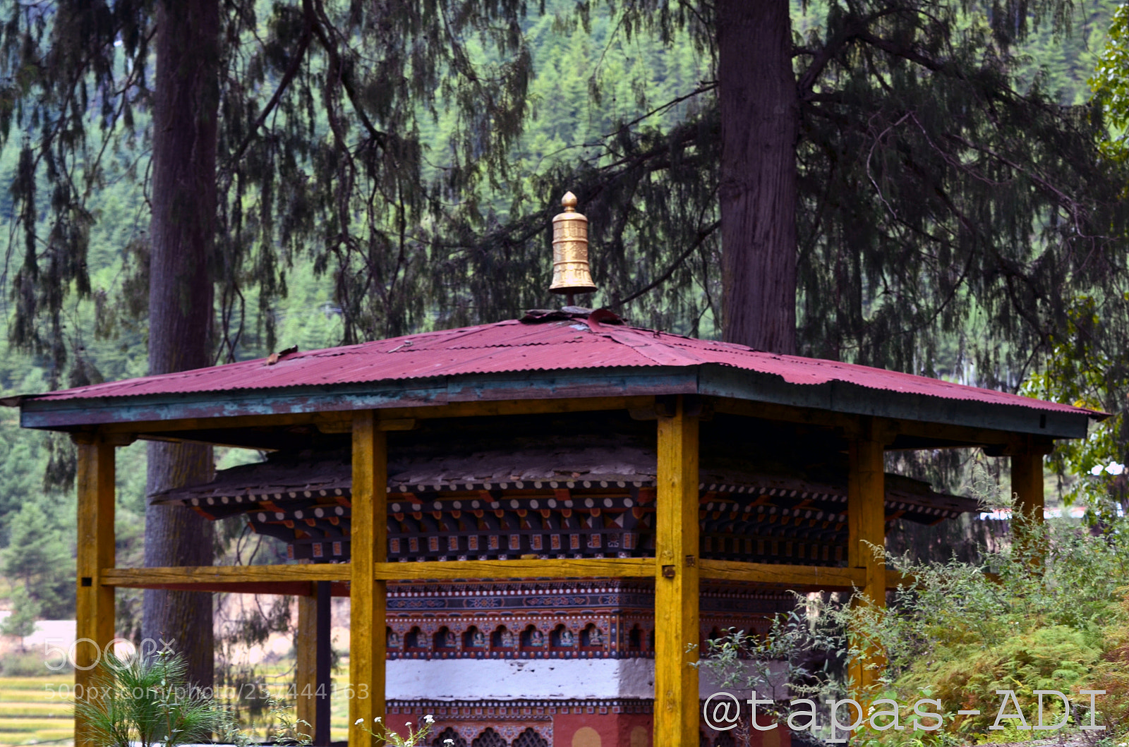 Nikon D5100 sample photo. 40.jpg photography