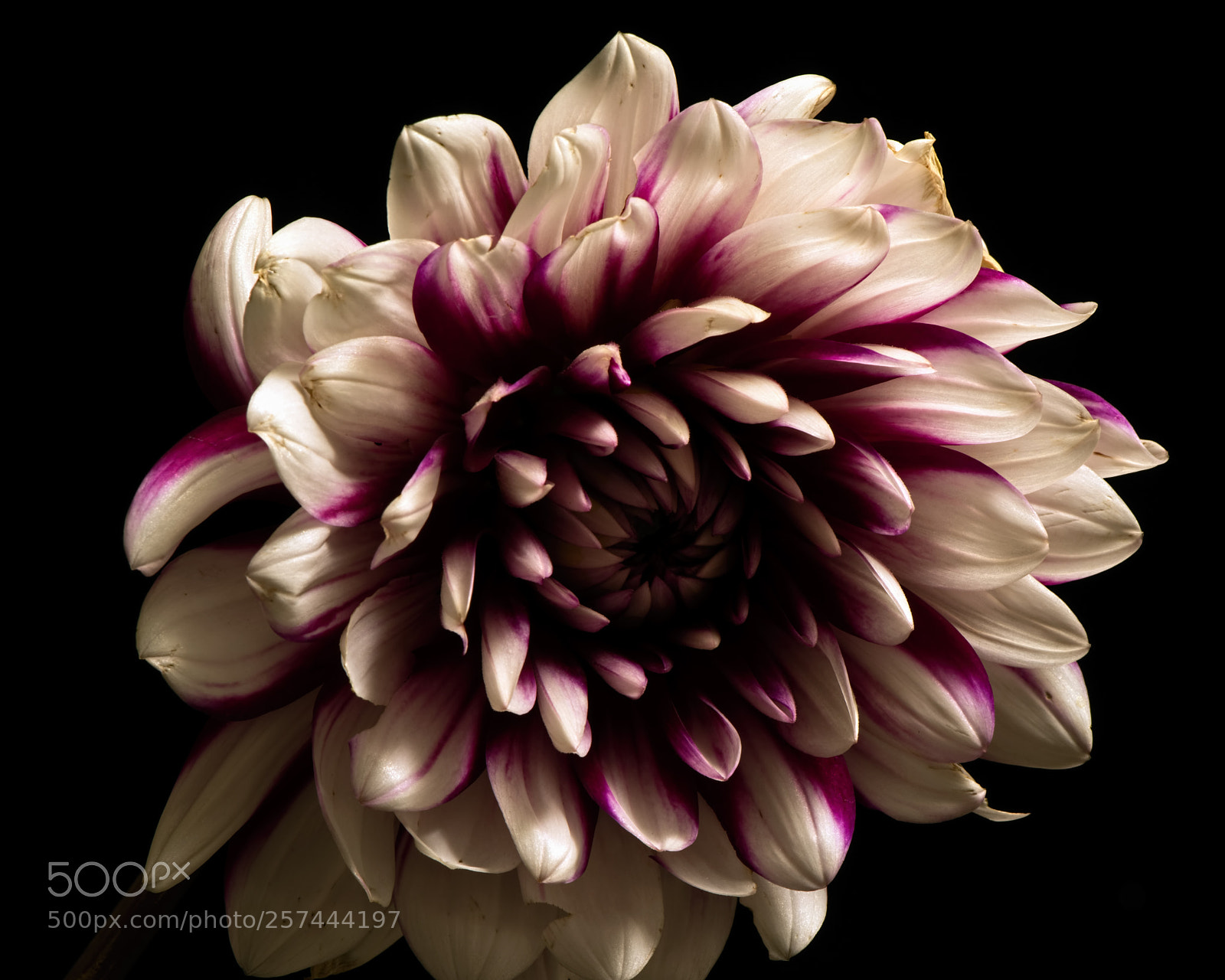 Nikon D810 sample photo. Solitary 0915 photography
