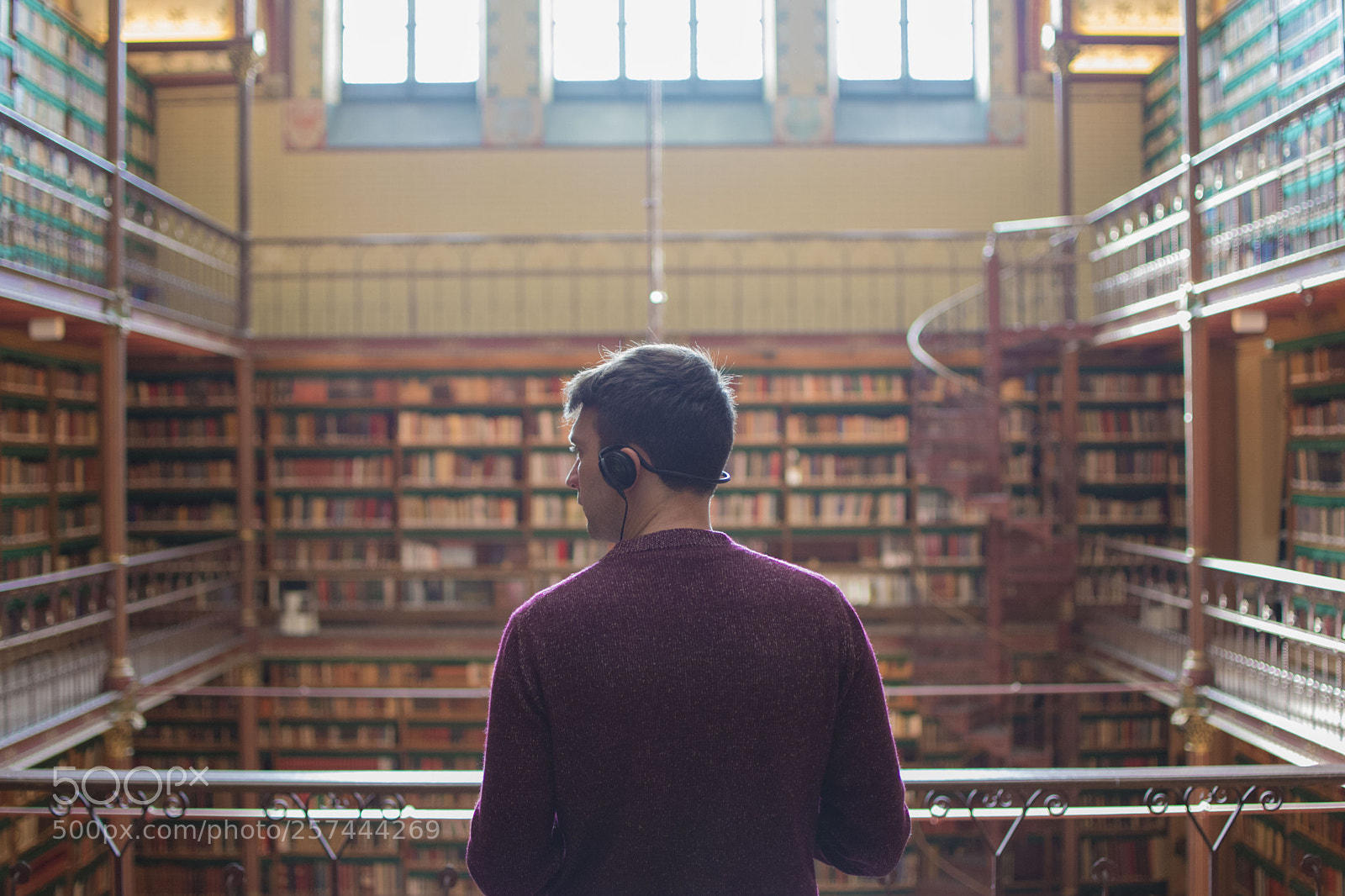 Nikon D5500 sample photo. In the museum library photography