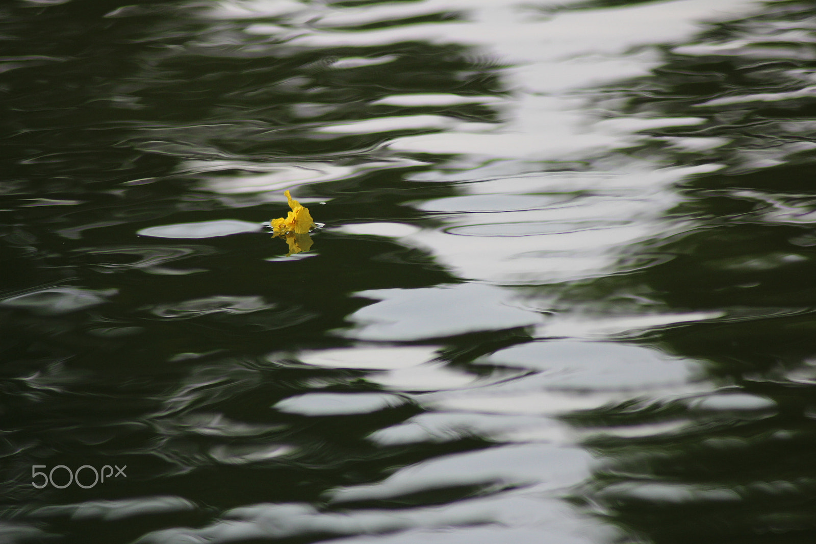 Canon EOS 700D (EOS Rebel T5i / EOS Kiss X7i) sample photo. Img photography