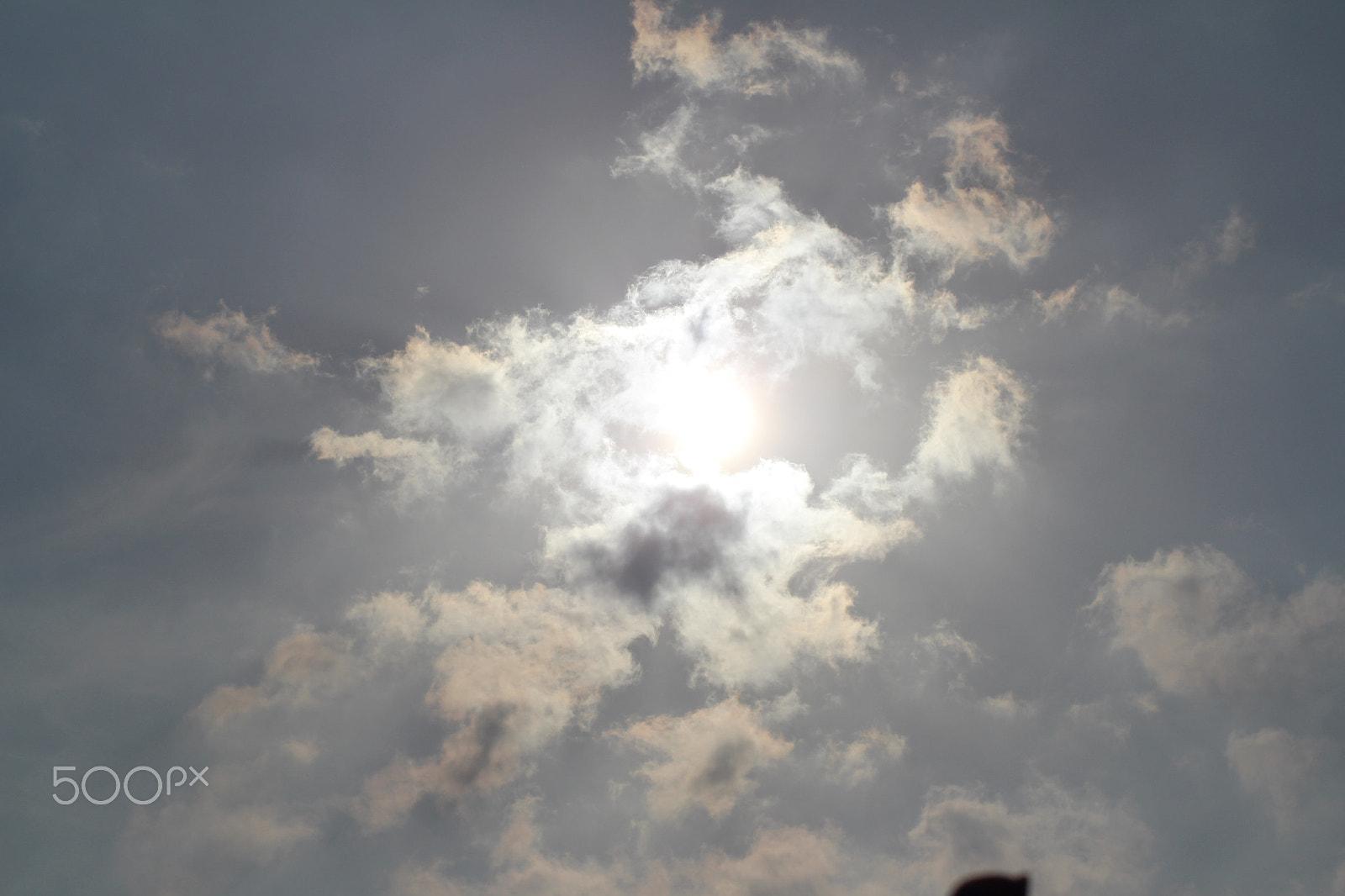Canon EOS 700D (EOS Rebel T5i / EOS Kiss X7i) sample photo. Img photography