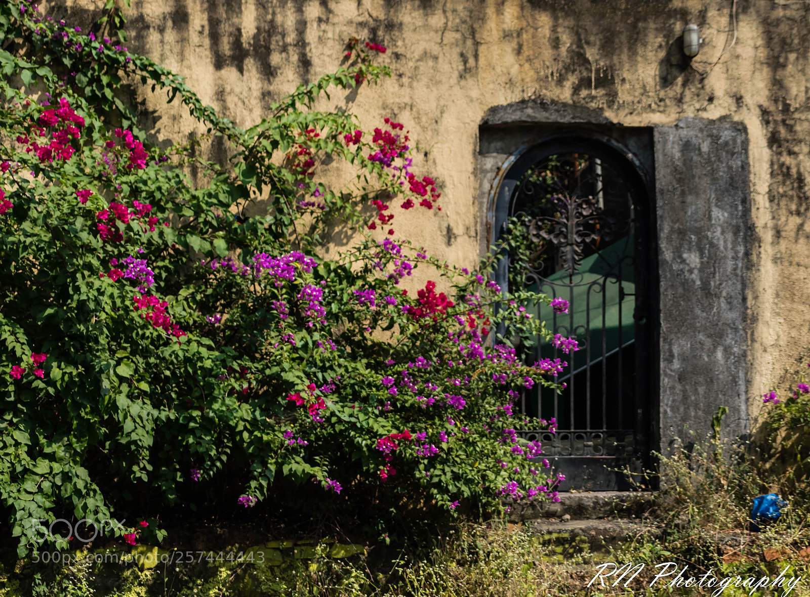 Nikon D5300 sample photo. Untitled photography