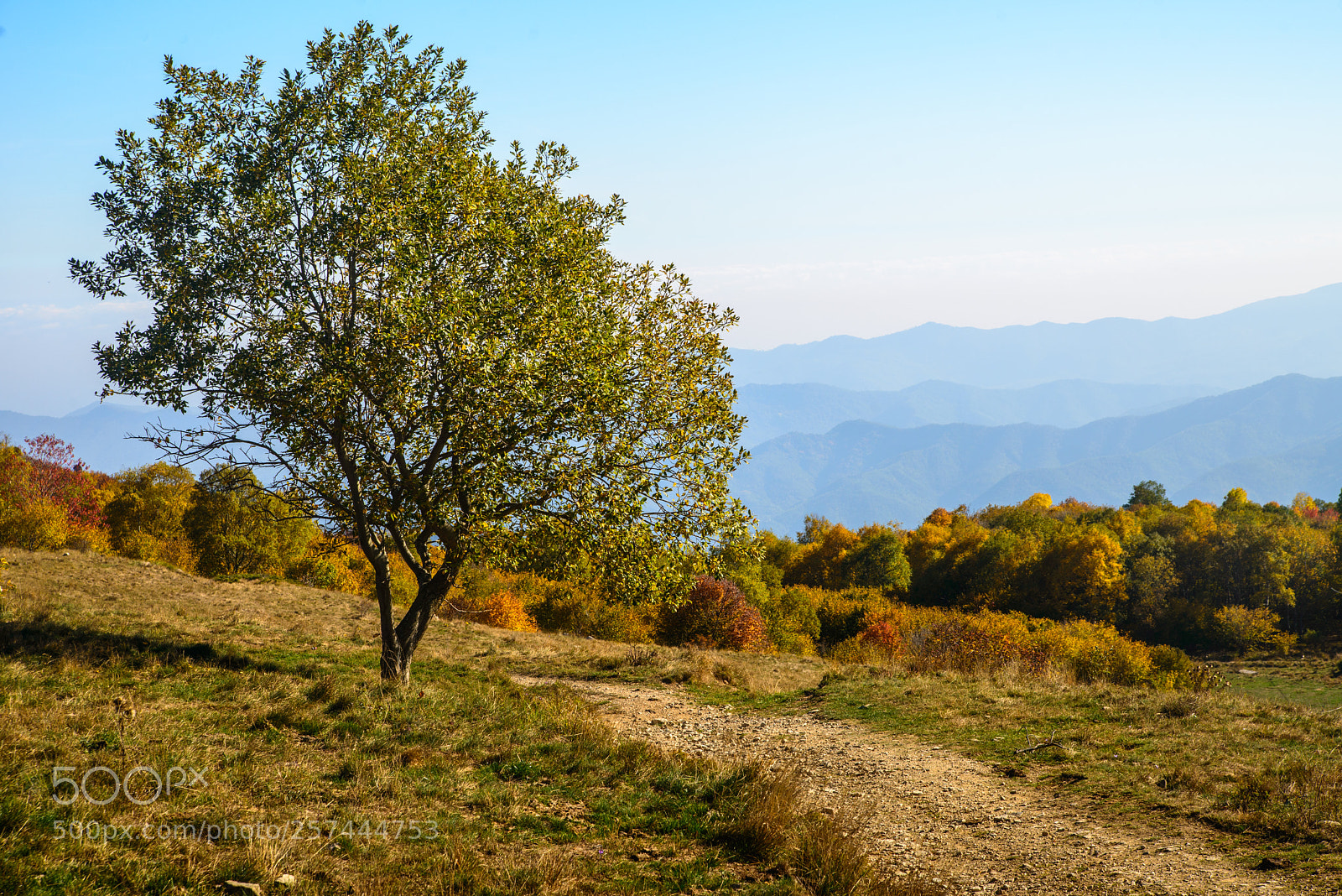 Nikon D800 sample photo. Autumn sketch in ligurian photography