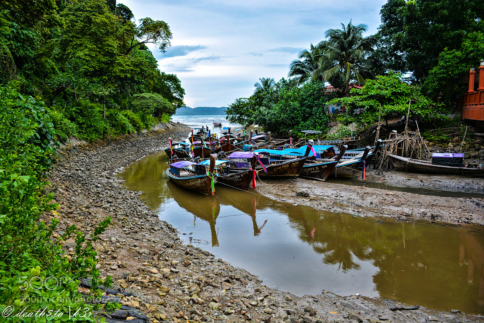 Nikon D7100 sample photo. Untitled photography