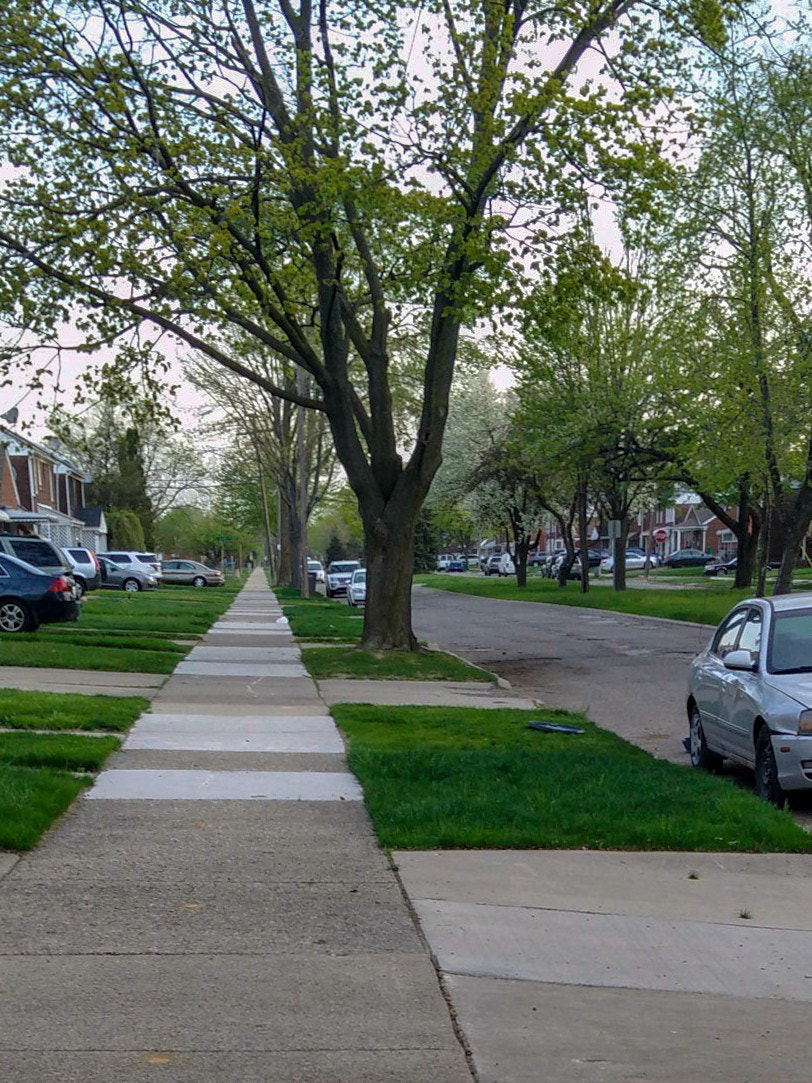 QCOM-AA QCAM-AA sample photo. Saint mind to walk for the straight path, doing what you have to do! photography