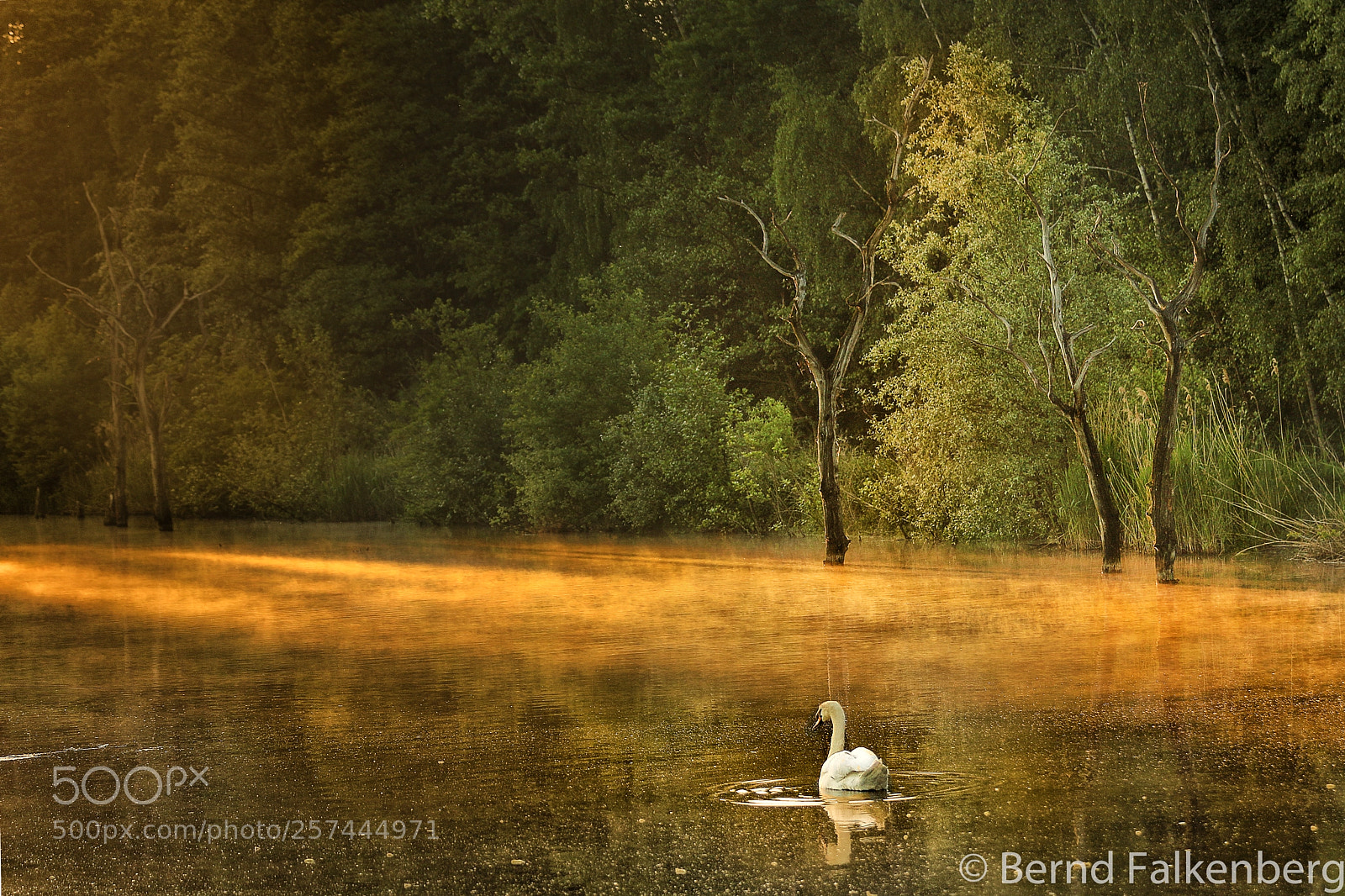 Canon EOS 7D Mark II sample photo. Morgendliche idylle photography