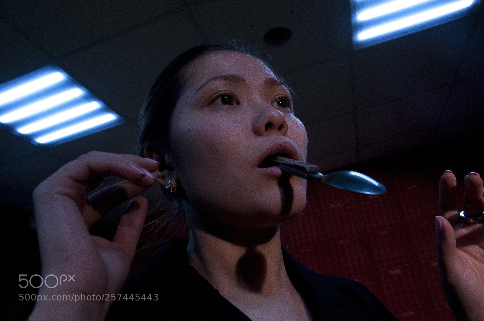 Nikon D90 sample photo. Untitled photography