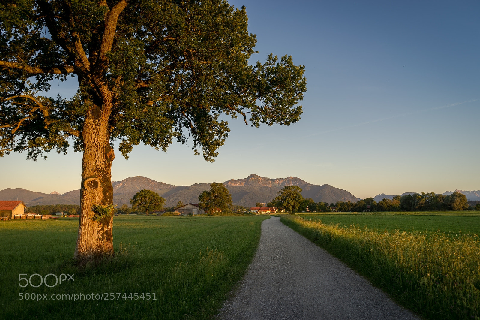 Sony a7 II sample photo. Lachsgang sunset stroll photography