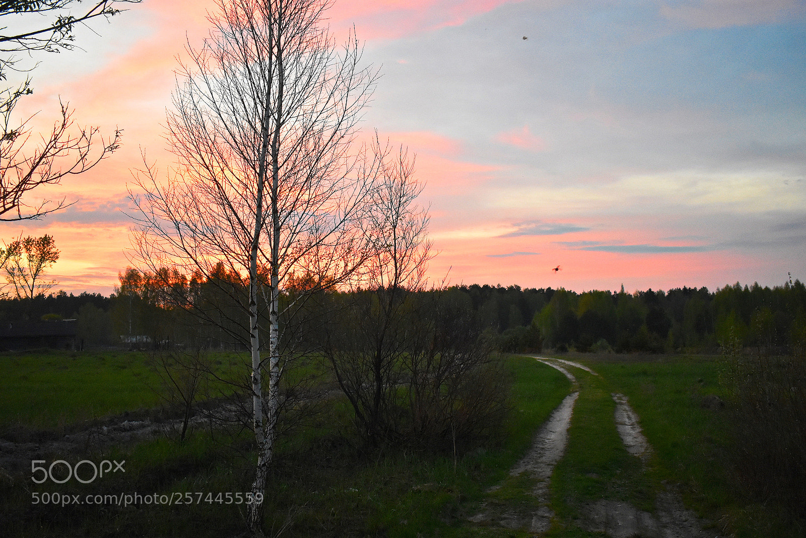 Nikon D3400 sample photo. Дорога к закату. photography