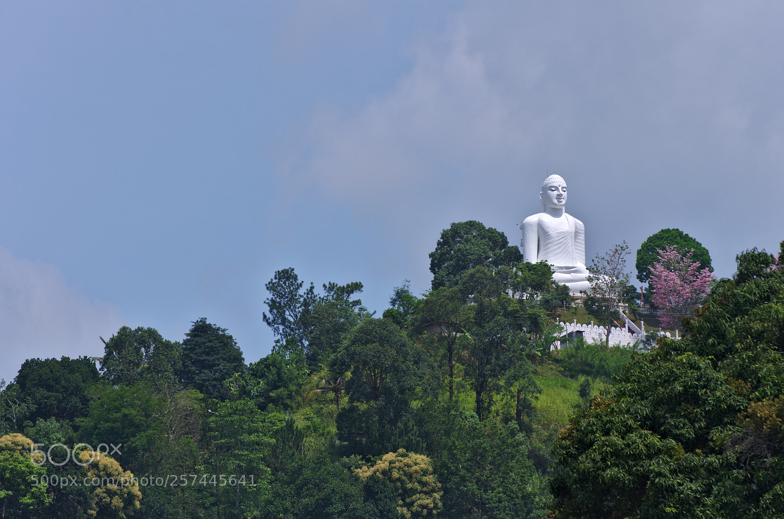 Pentax K-5 sample photo. Sitting buddha photography
