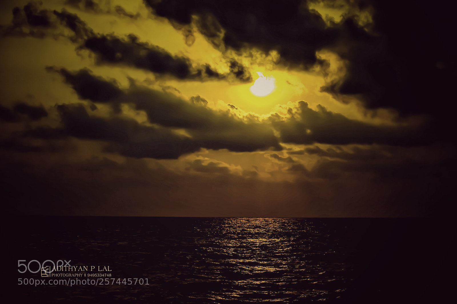Nikon D5300 sample photo. Untitled photography